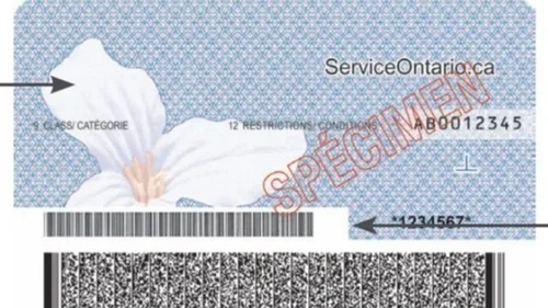 Identification Code Examples Card Lesson 11: Common ID safety features — RetailSafe