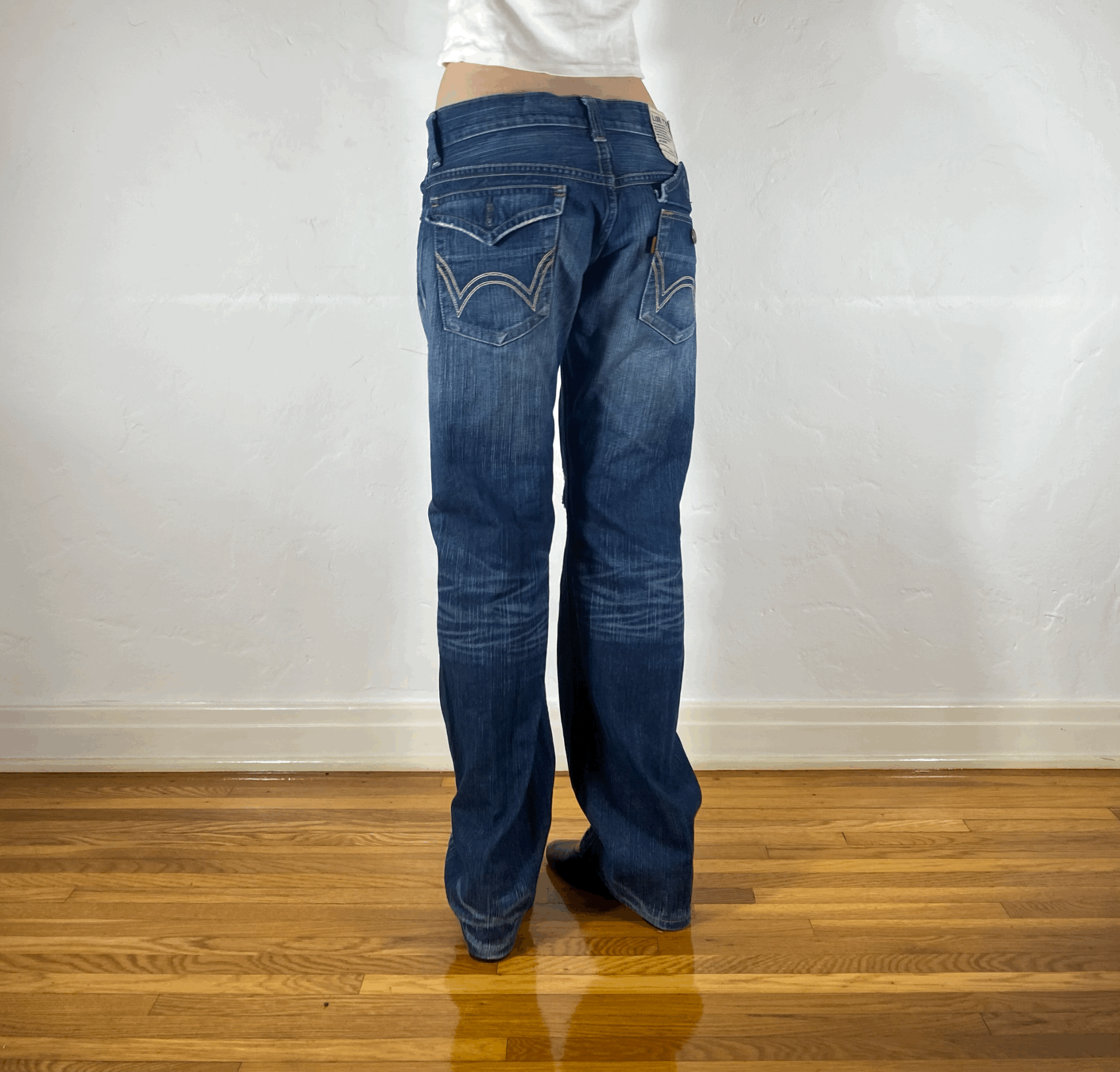 tempImageXaGIru.gif (Copy)