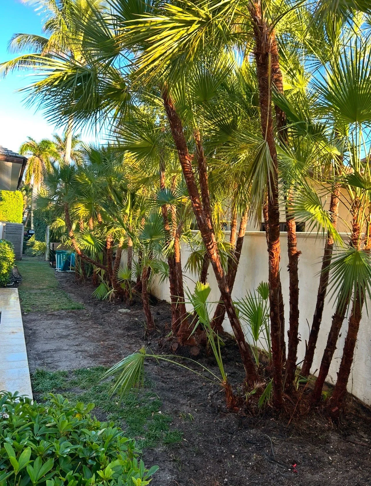 View recent photos(1).JPEG