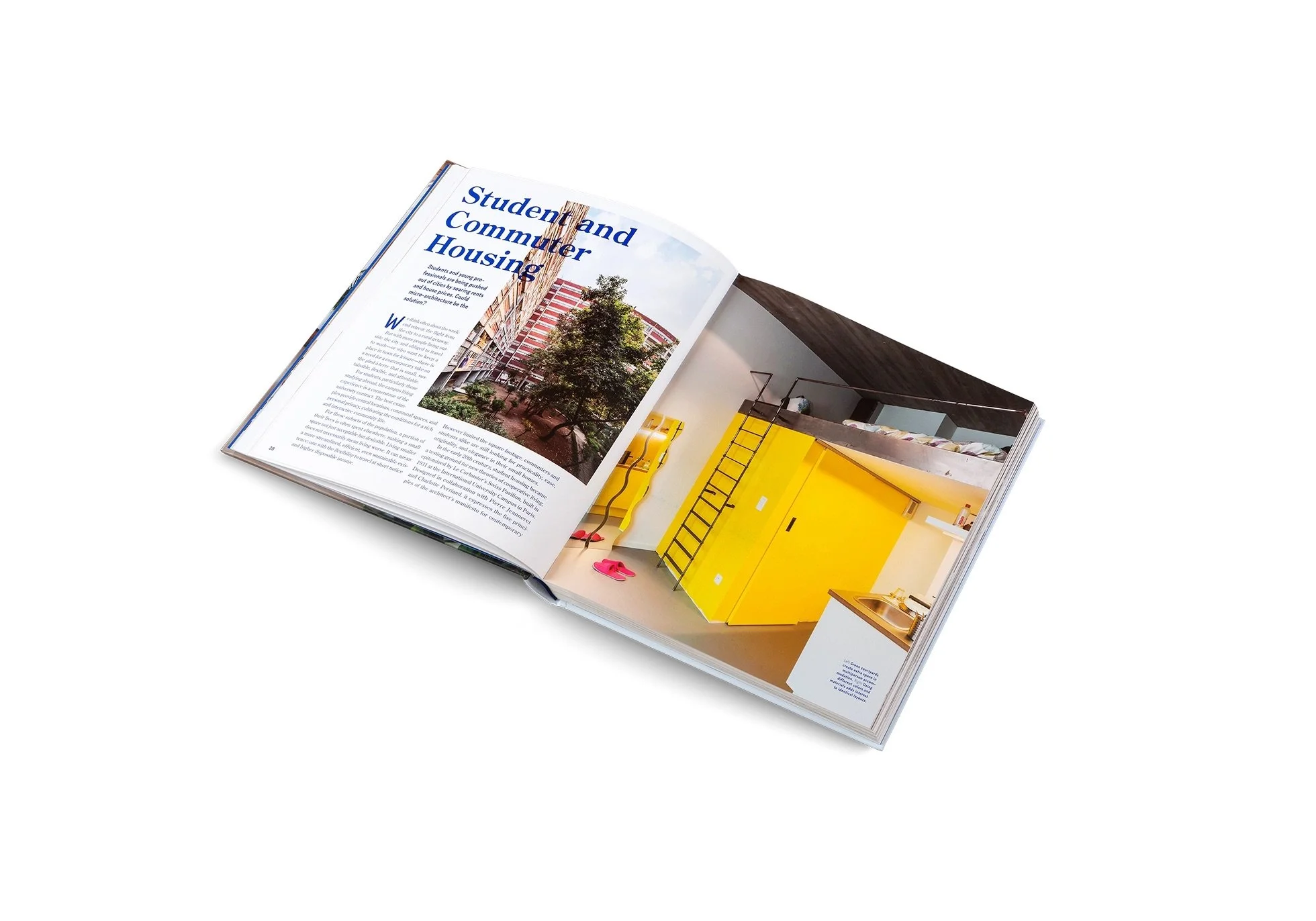 Prewtty small 2.jpeg