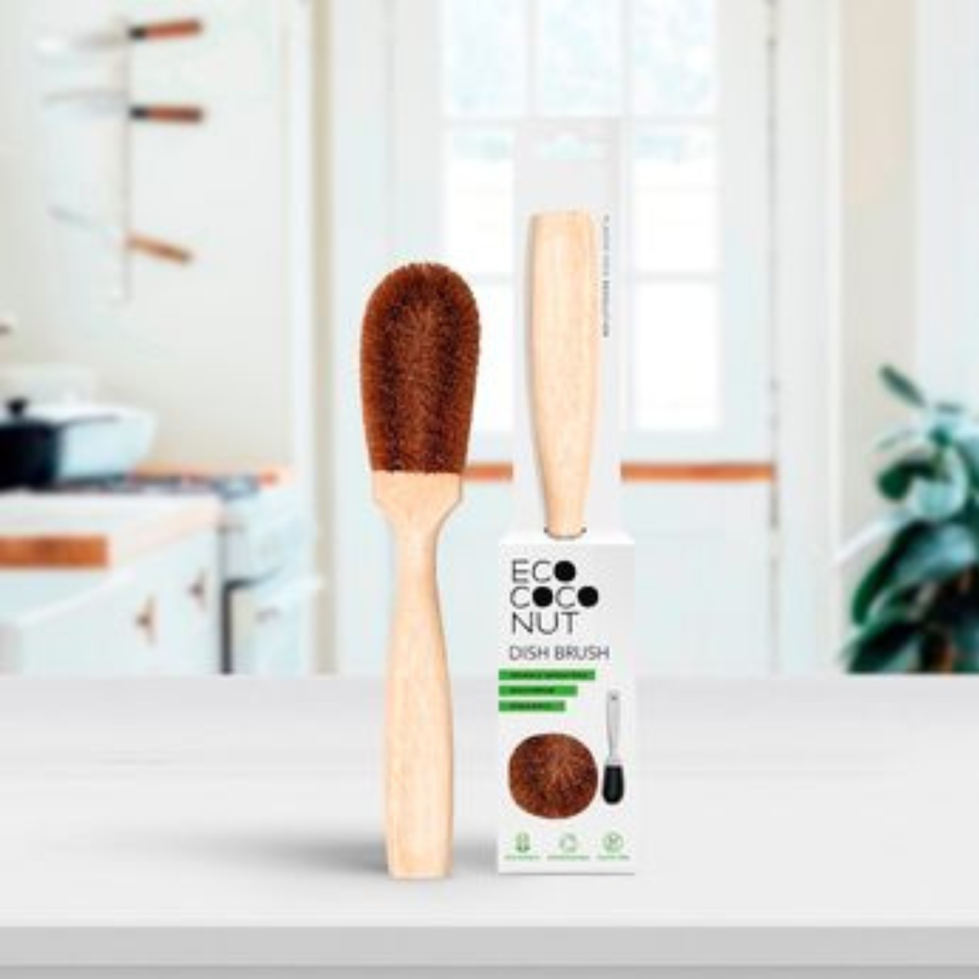 Our-Curated-Abode-Eco-Living-Coconut-Brush.png