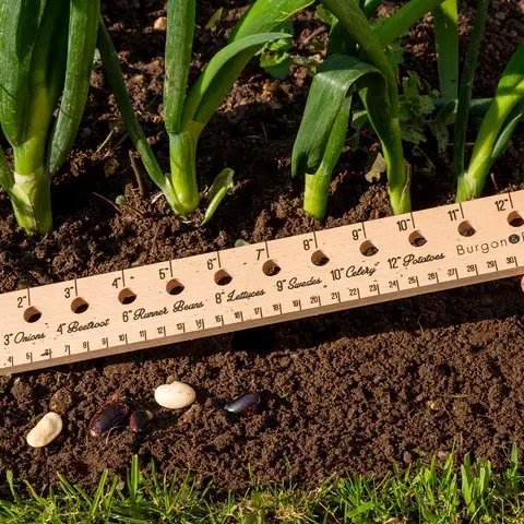 Planting Ruler 4.jpeg