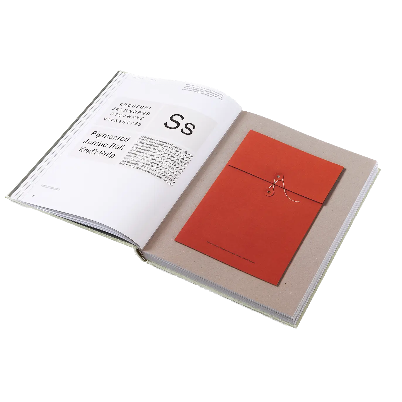 Designing Brands 2 Background Removed.png