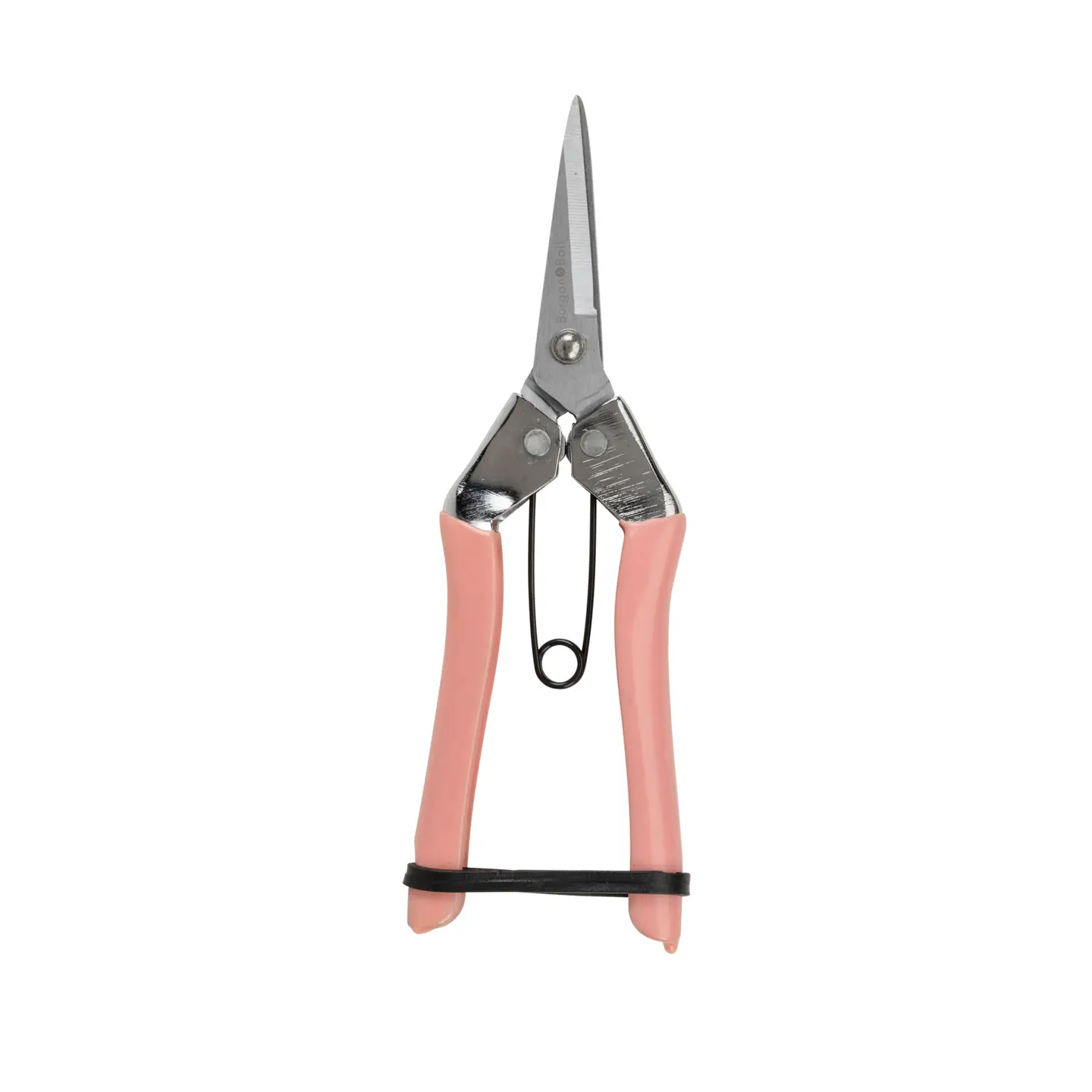 Fruit and Flower Snips
