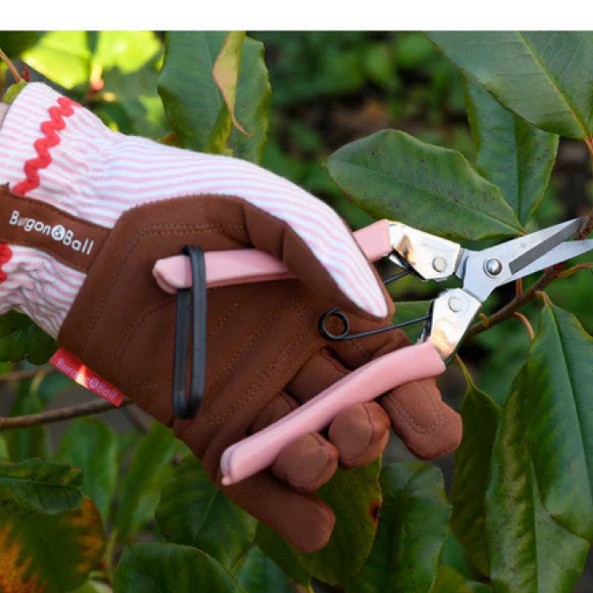 Colourful-Striped-Gardening-Gloves-Pink-Lifestyle.png