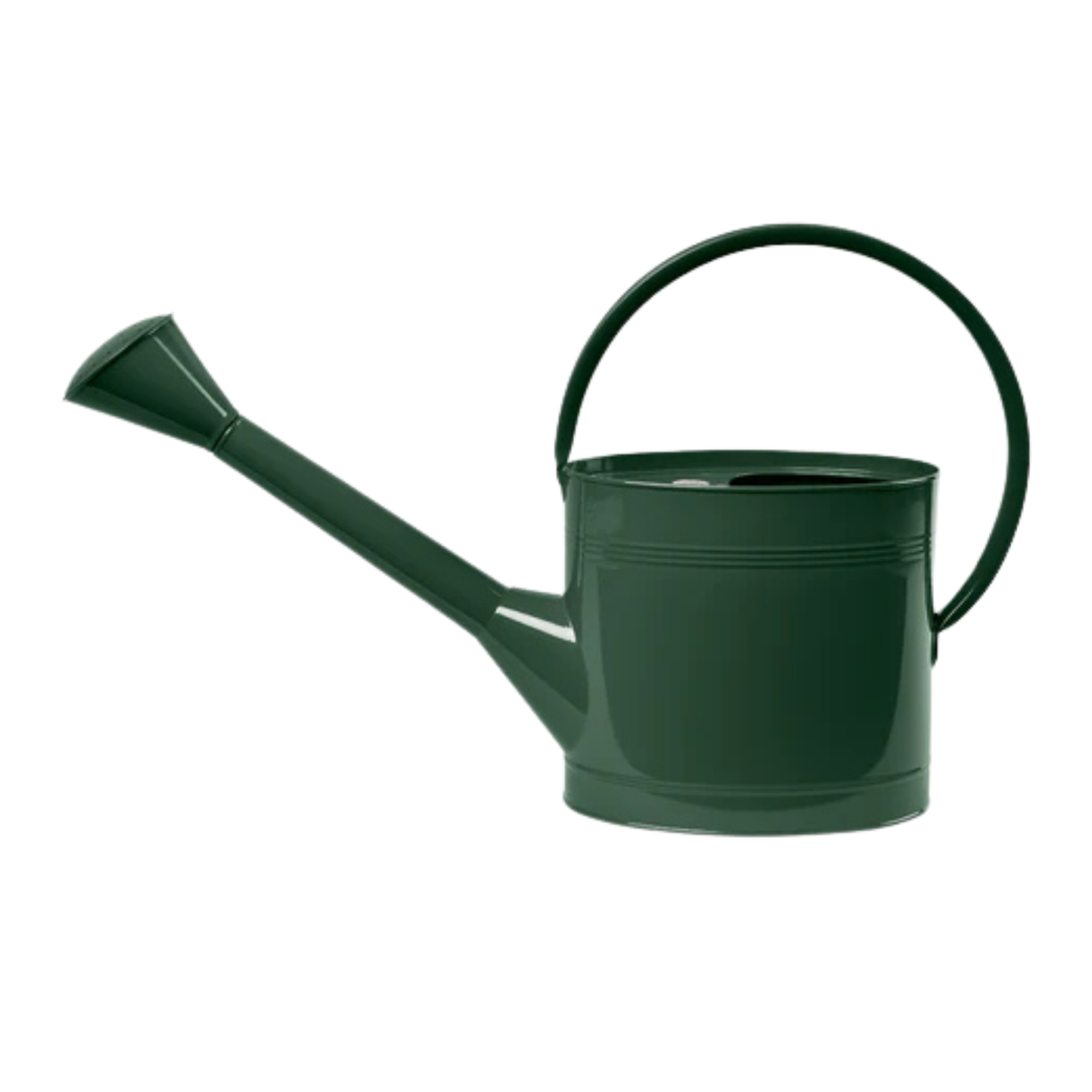 Our-Curated-Abode-Watering-Can-Racing-Green-Large.png