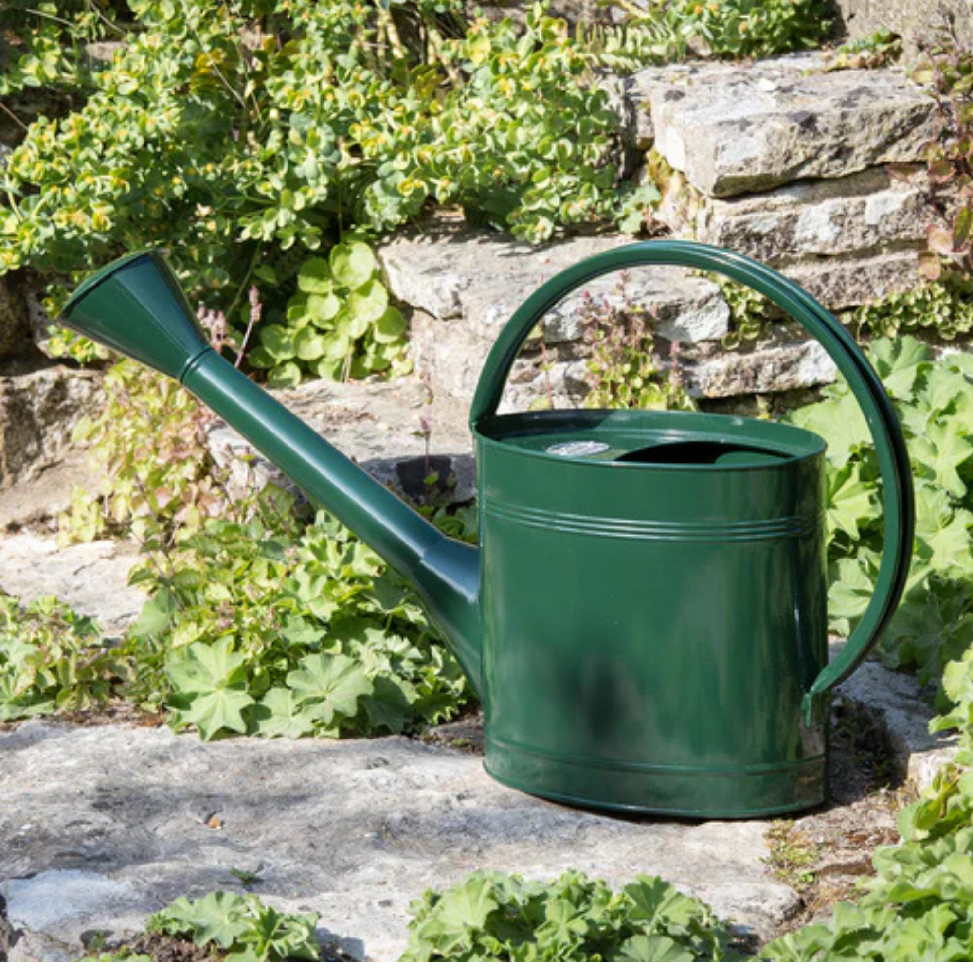 Our-Curated-Abode-Watering-Can-Racing-Green-Lifestyle.png