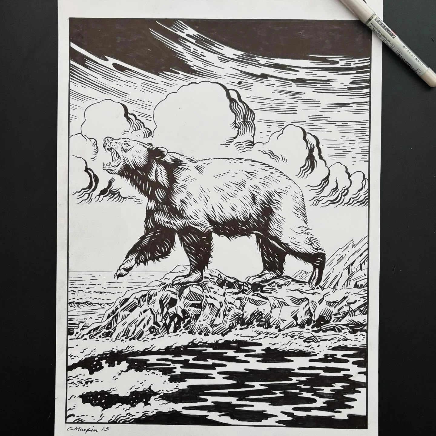 This illustration is for an upcoming gig poster design for a band performing in Santa Barbara. 

I decided to depict a black bear, common in the woods of that part of the Golden State, treading out onto the rocks at Big Sur roaring into the Pacific. 