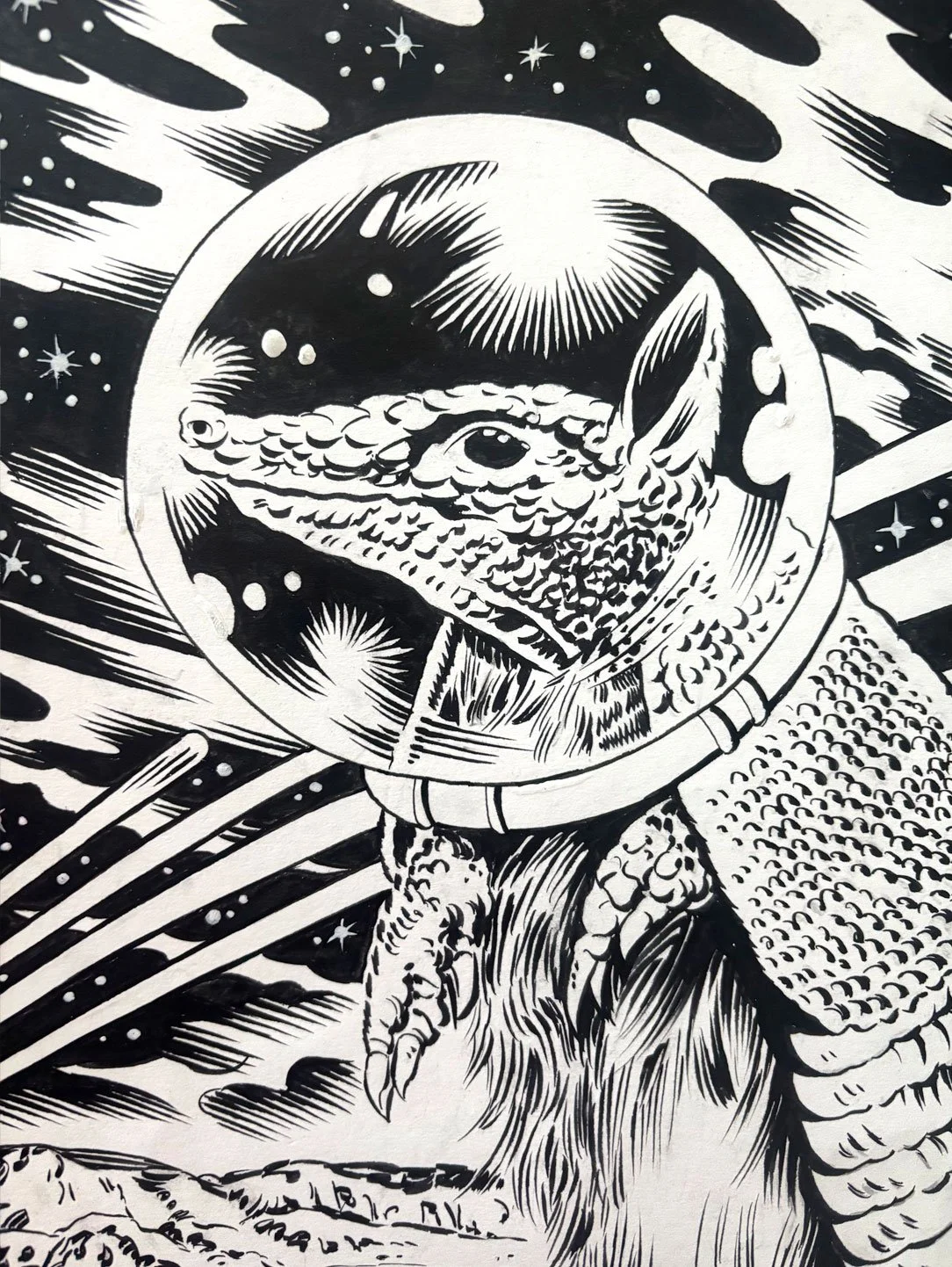 Space Armadillo 4.jpg