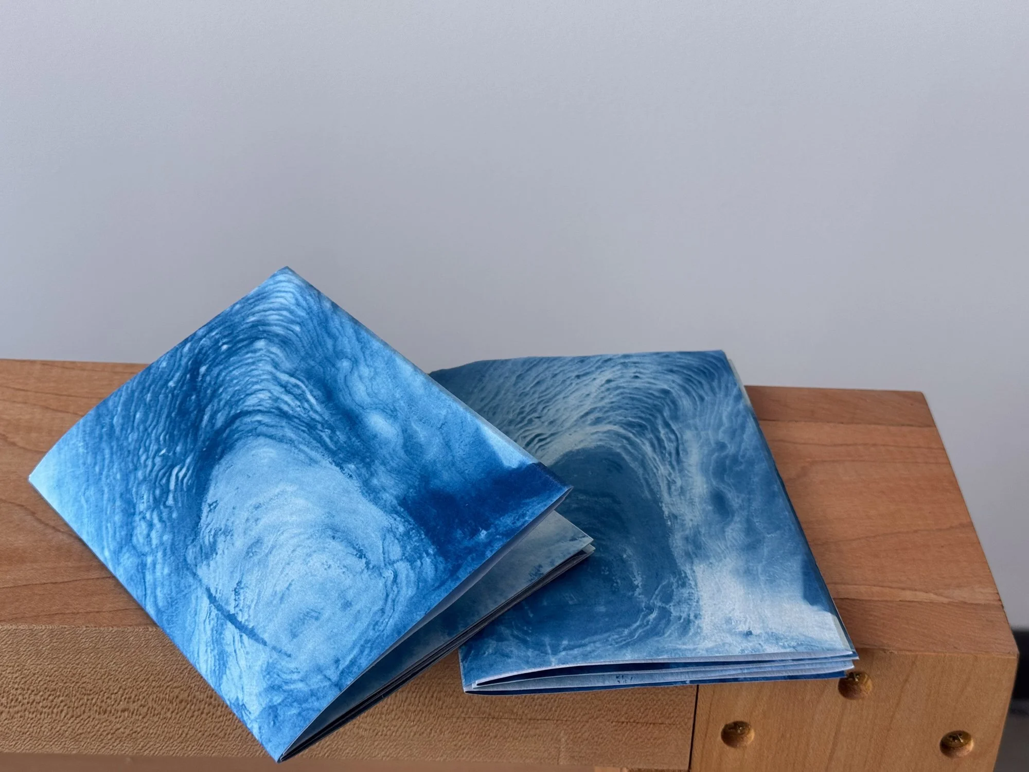 Sink Stuff Cyanotype Zine