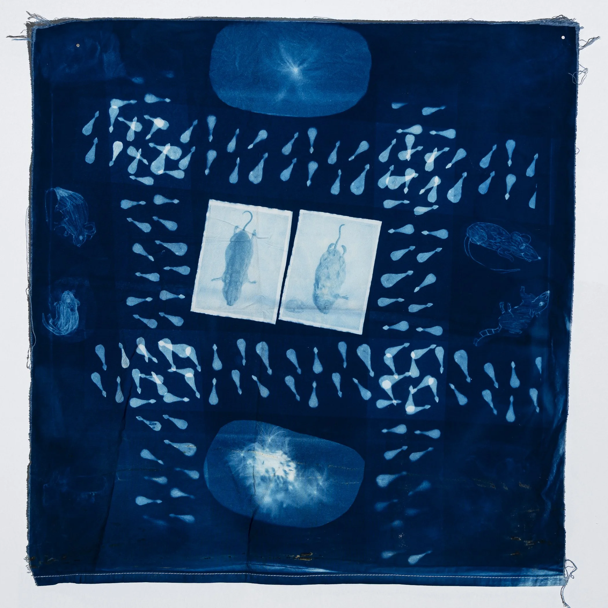 GOODWIN_FlitFantasia_2025out_installation_web-24.jpg