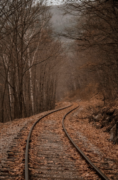 Navigating the Holidays with a Narcissist: Challenges and How Therapy Can Help