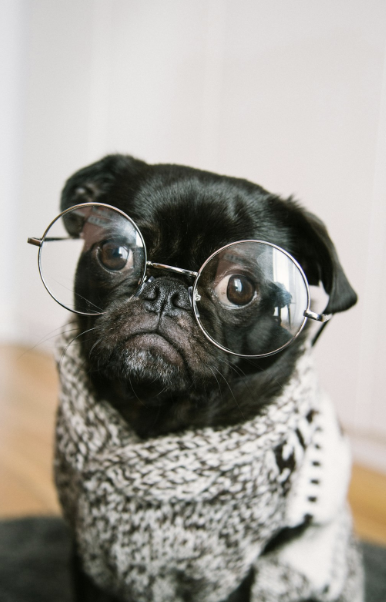 Intellectualizing Emotions: Understanding, Recognizing, and Shifting Toward Emotional Awareness