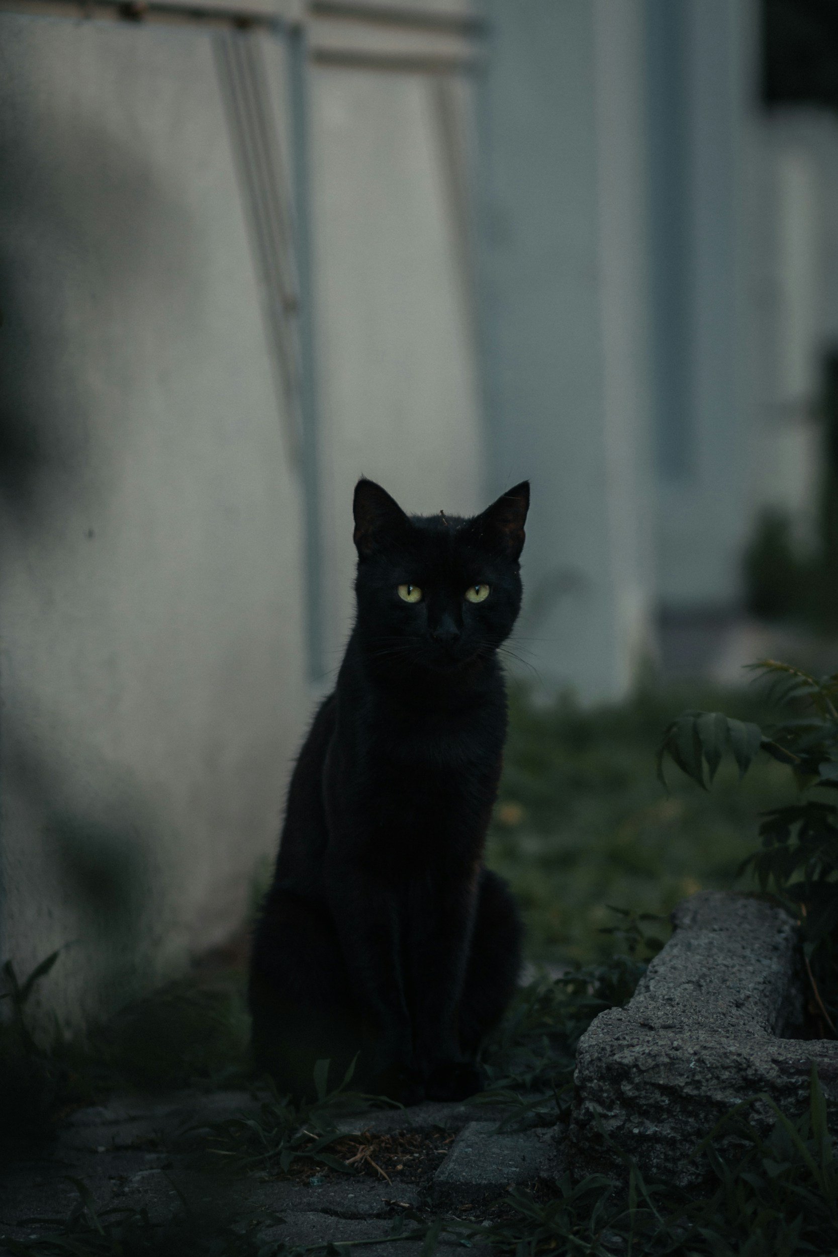 can I be cured of a superstition?