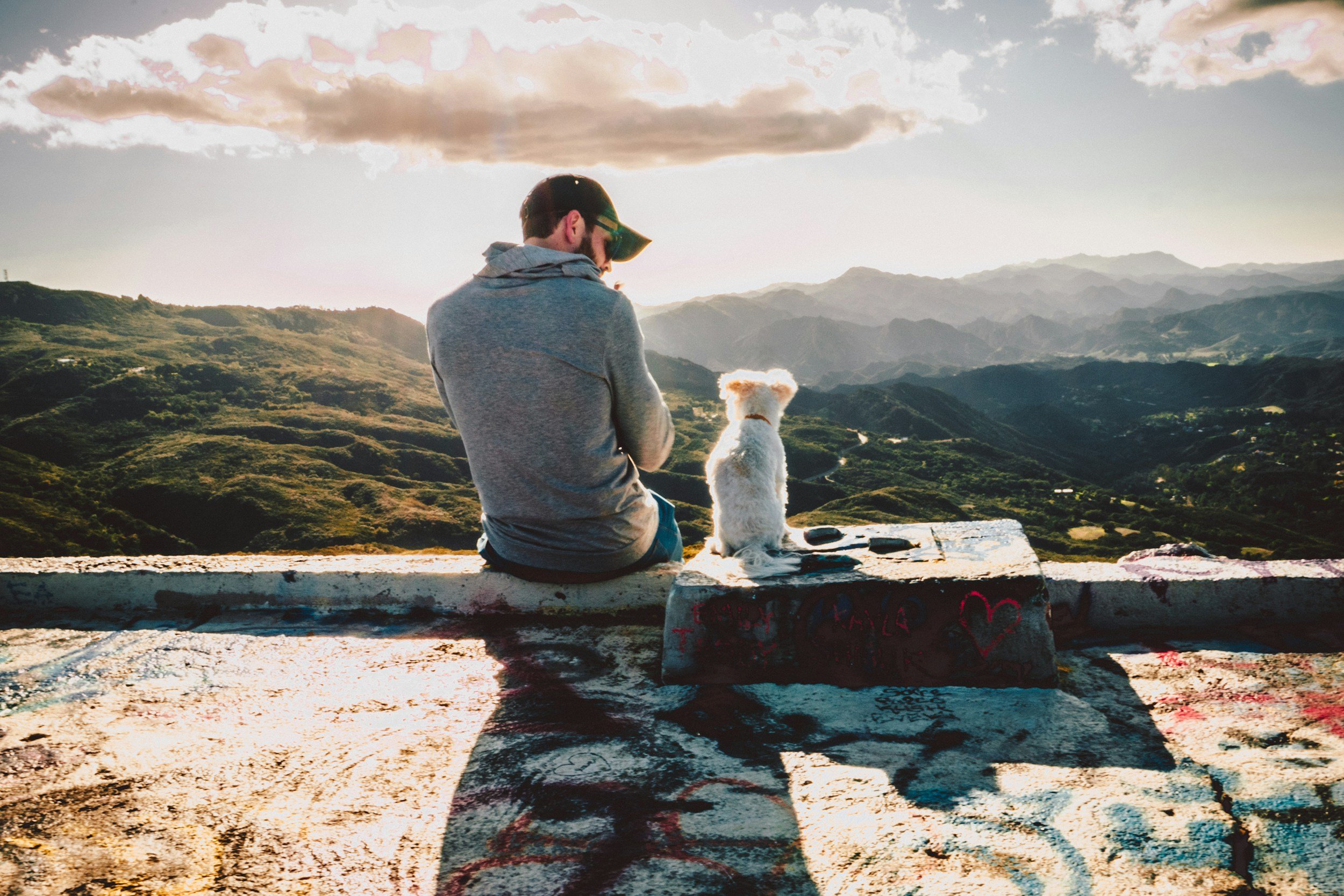 man with his dog looking into a valley to signify companionship