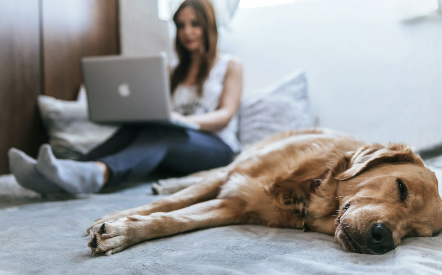 Can ERP Therapy Really Work Virtually? Here's What OCD Treatment From Home Actually Looks Like