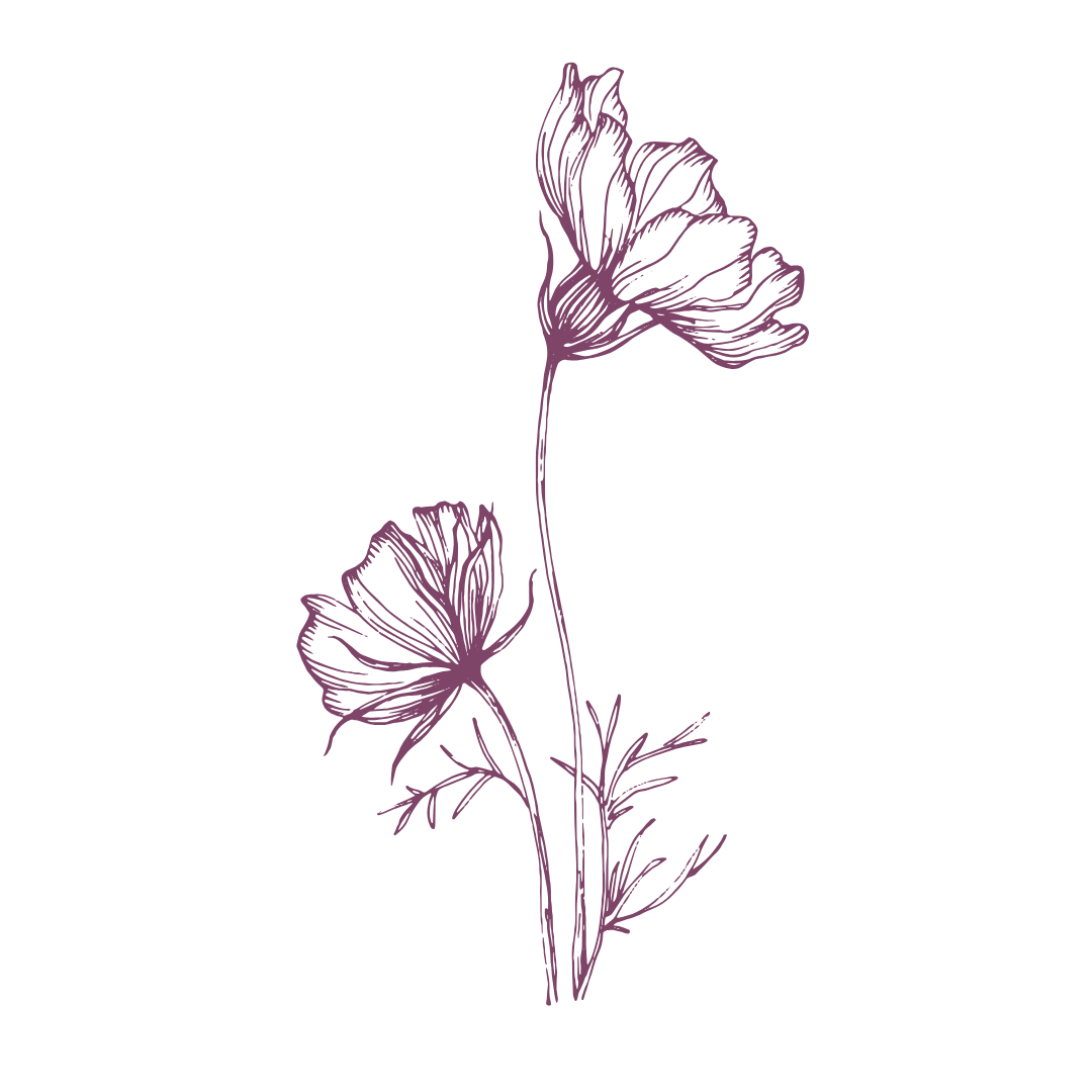 decorative flower illustration