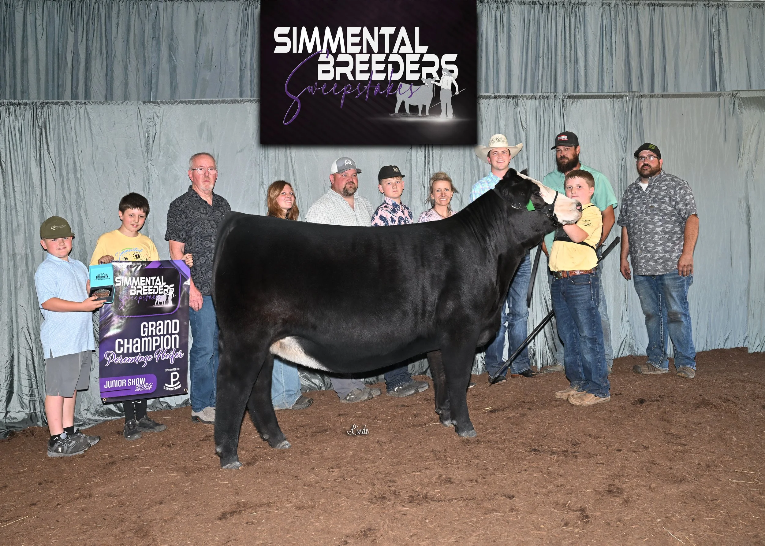 Grand Champion Percent female Simmental Breeders Sweepstakes - Broker x Larissa 49G
Raised by Schaeffer and Tomson 
Sold With Winegardner

Congrats, Parker London!