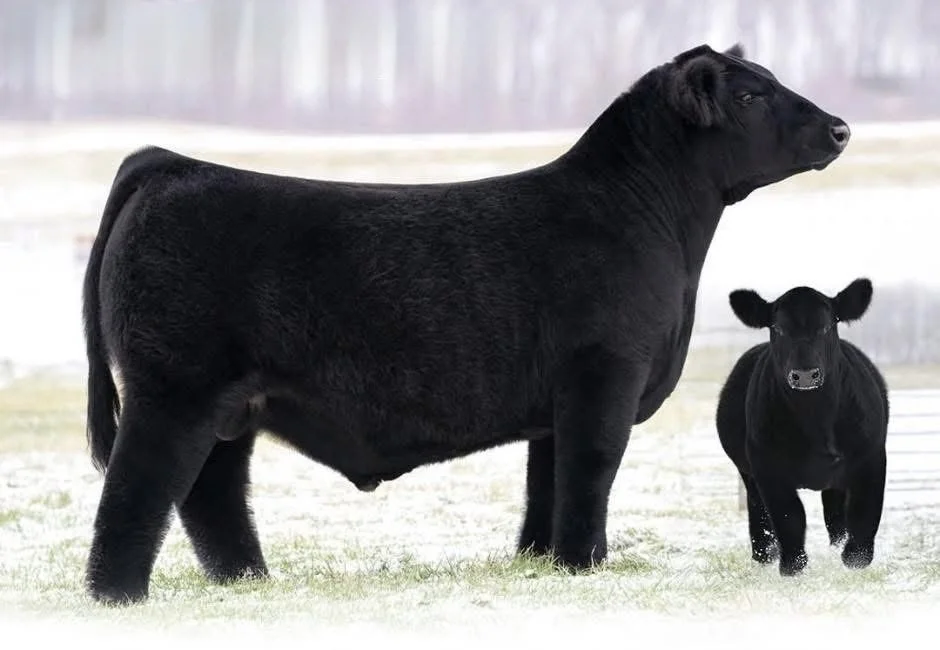 Photo Mar 20 2026, 11 54 53 AM.jpg