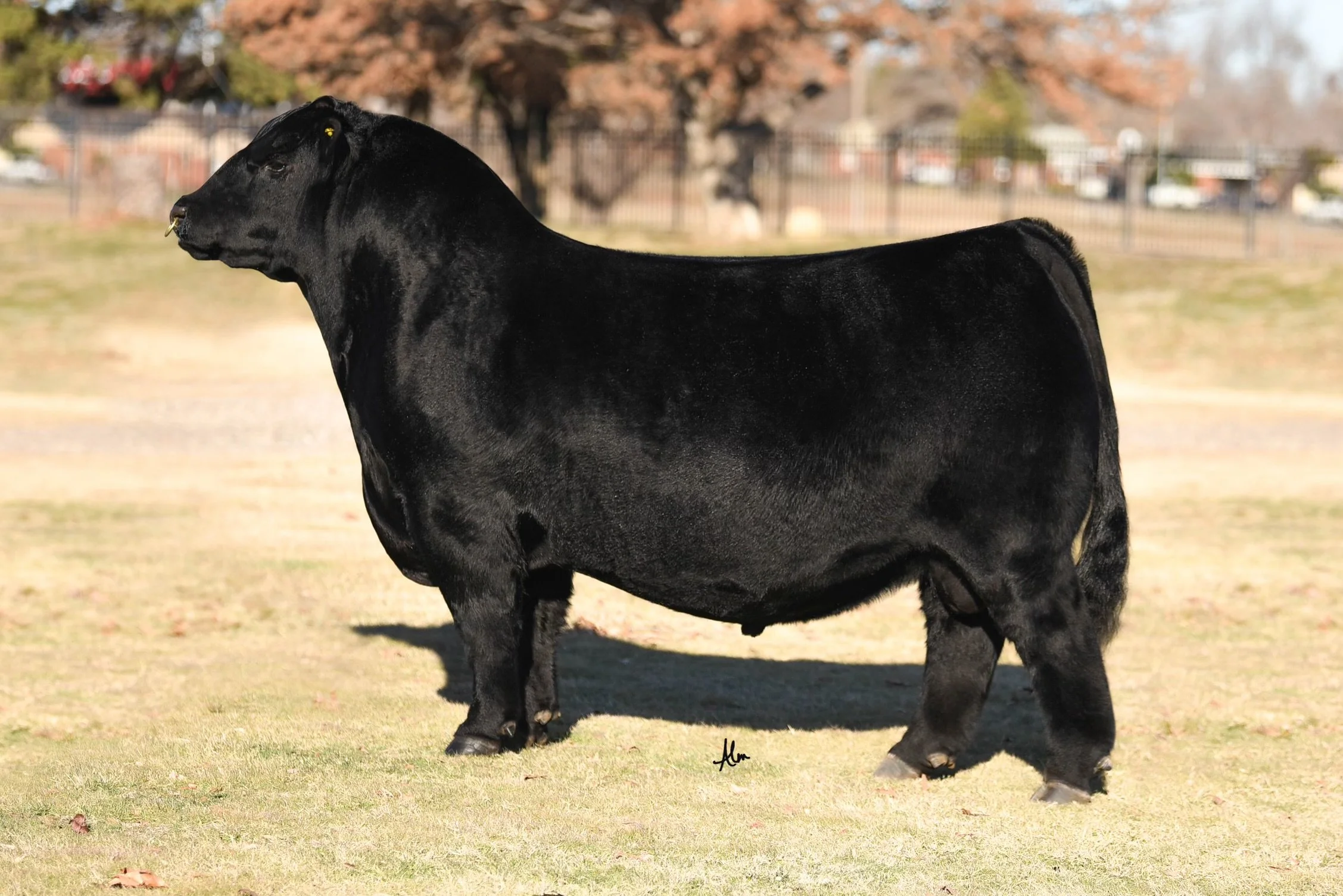 MC TSSC OUTKAST 2095