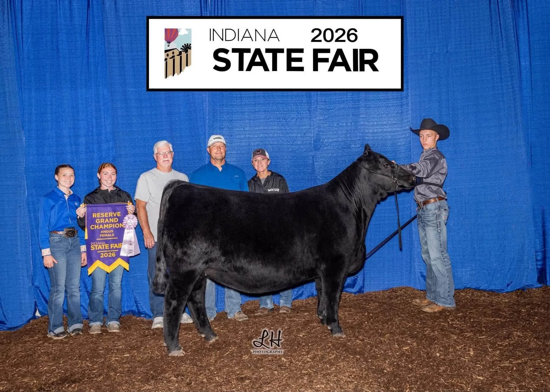 Reserve Champion Angus Female - Indiana State Fair Open Show - Blacklist x Annie Lu 230k
Raised by Braylen Schaeffer 
Sold by Schaeffer and Sullivan 
Congrats Clayton Moore and Family!
