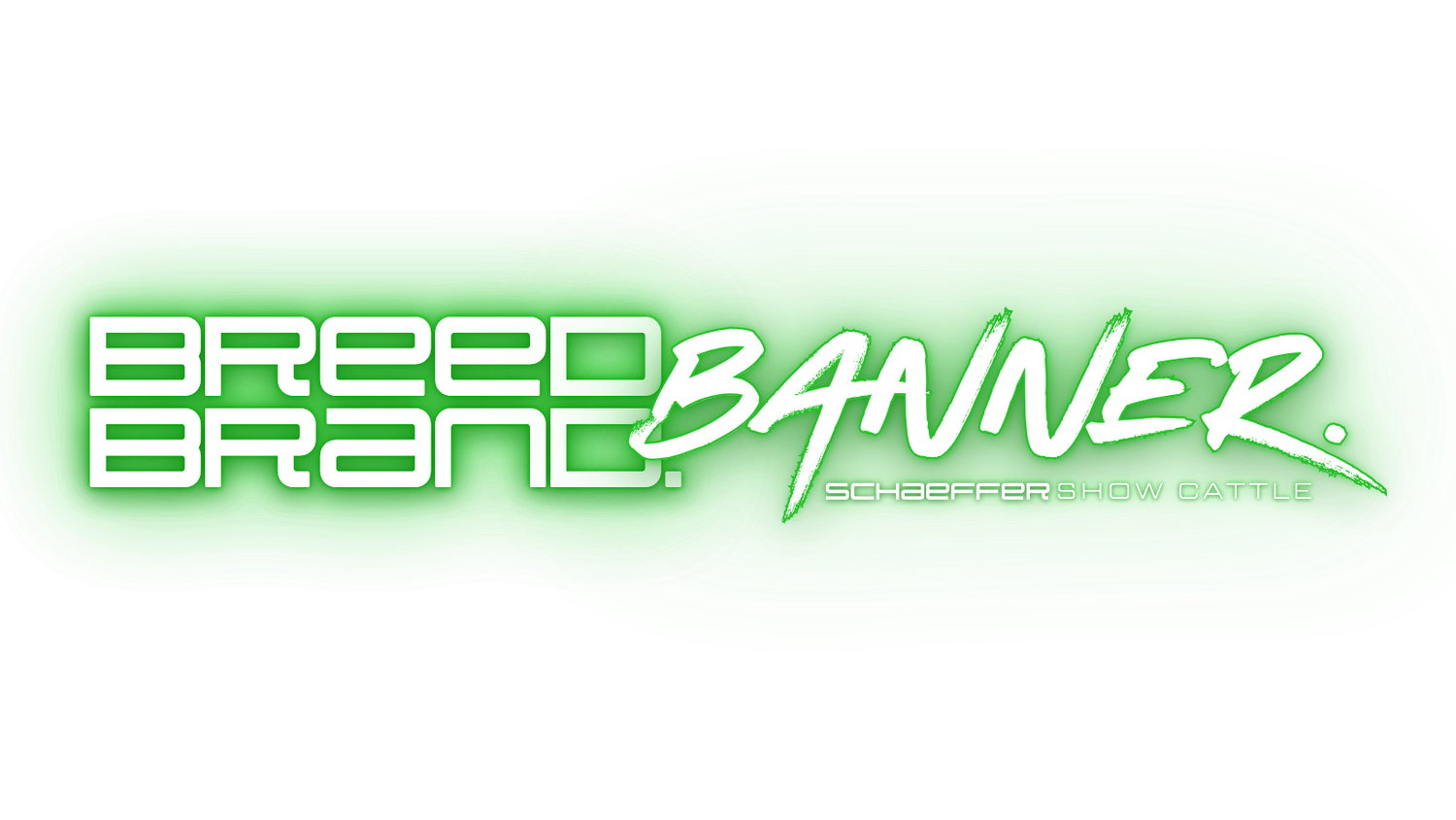 Schaeffer Show Cattle