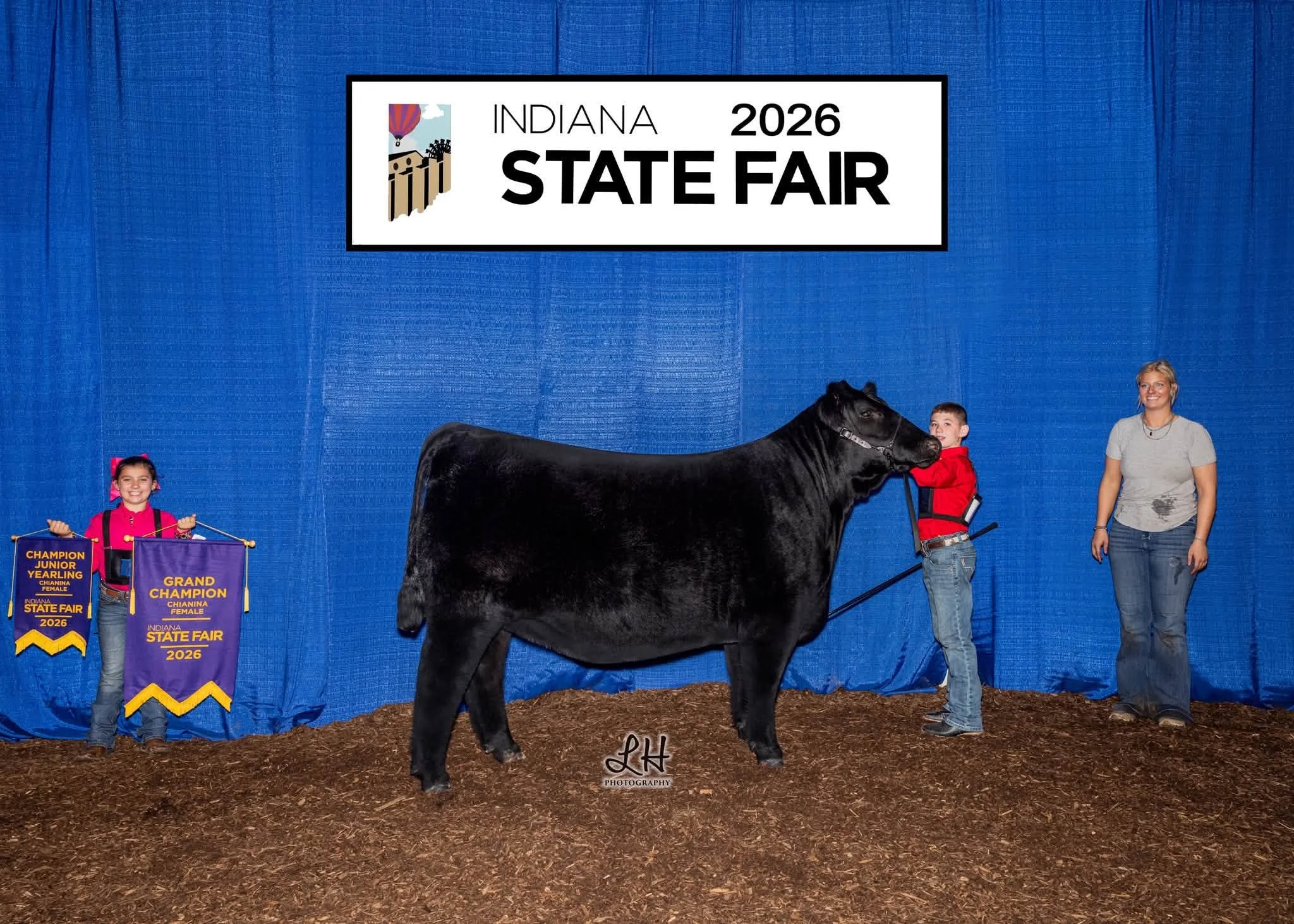 Champion Chi Female - Indiana State Fair Open Show 
Raised by Sullivan 
Sold as Lot 42 in our Sept Sale
Congrats, Teagan Orme!