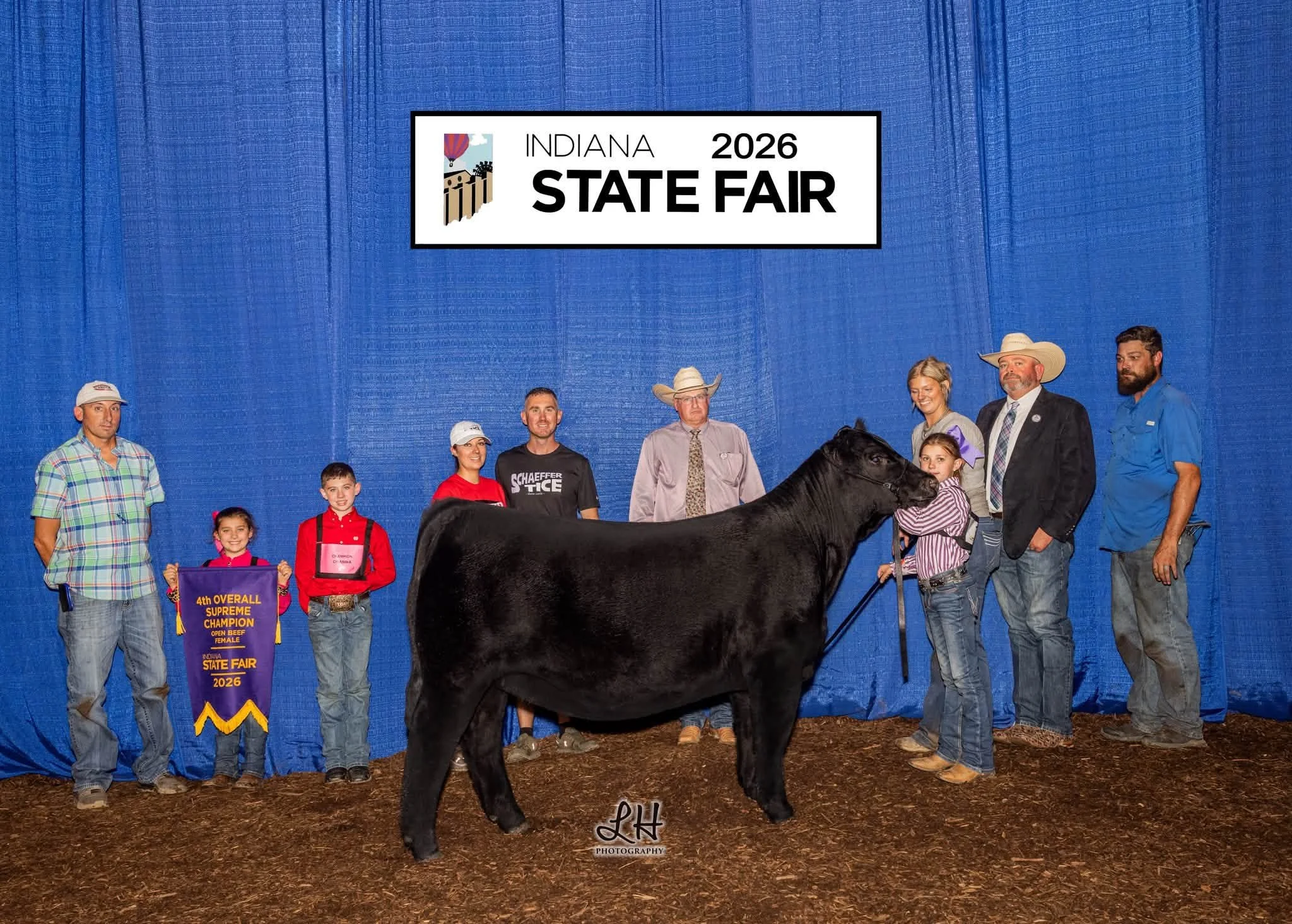 4th Overall And Champion Simmental Open Show  - TJSC H-Town x 0267G
Raised by Sullivan 
Sold by Us in our Spring Sale 
Congrats, Teagen Orme and Family!