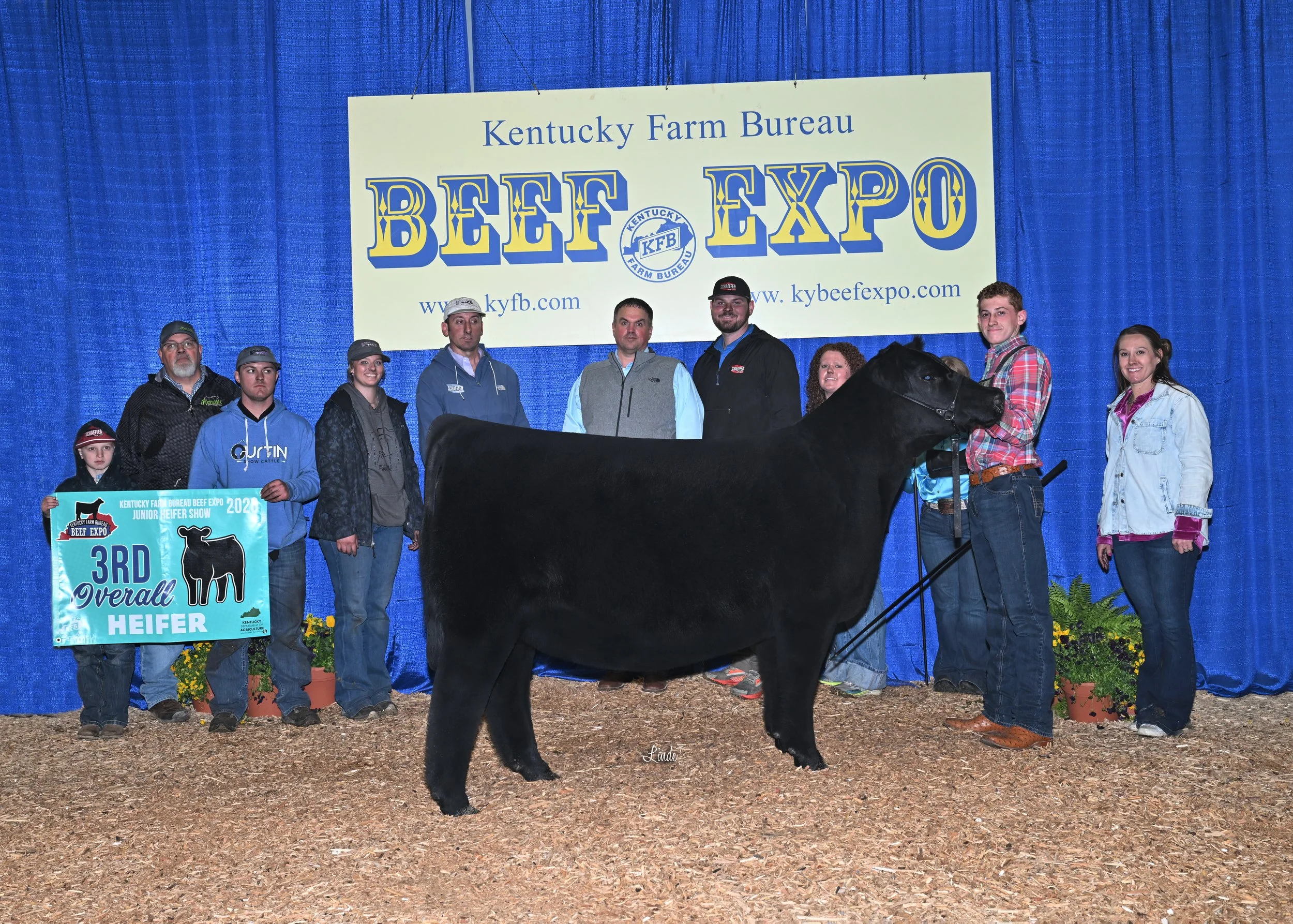 3rd Overall Female Kentucky Beef Expo - Blacklist x Annie Lu 230k

Sold with May and Kanicki 

Congrats, Braylen Schaeffer!