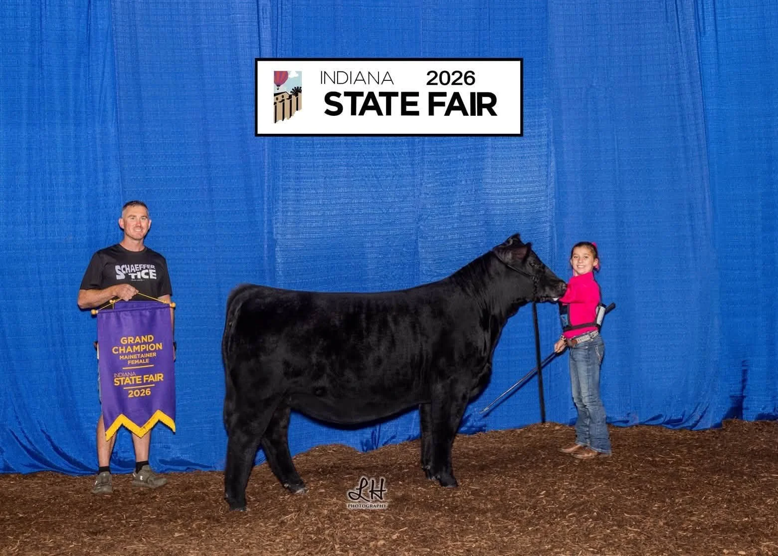 Champion Mainetainer and Reserve Champion Chi Open Show
Raised By SL and Jenna Craft 
Sold by Schaeffer in Spring 26 Sale
Congrats, Orme Family!

