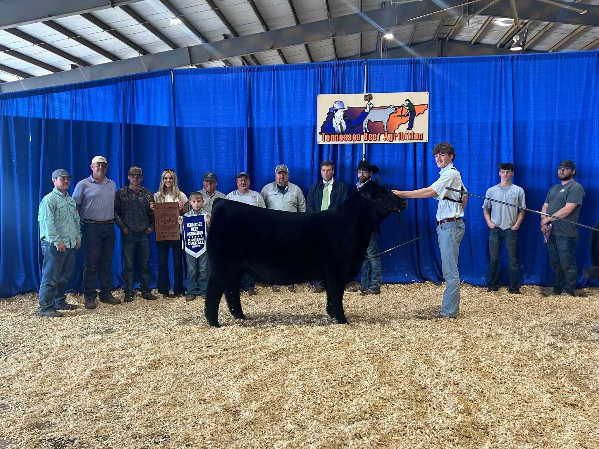 Supreme Female Tennessee Beef Agribition - Forbes x Lady Crystal 434p

Sold As Lot 5 in Sept 25 Sale 

Congrats, Thomas Livestock and Family!