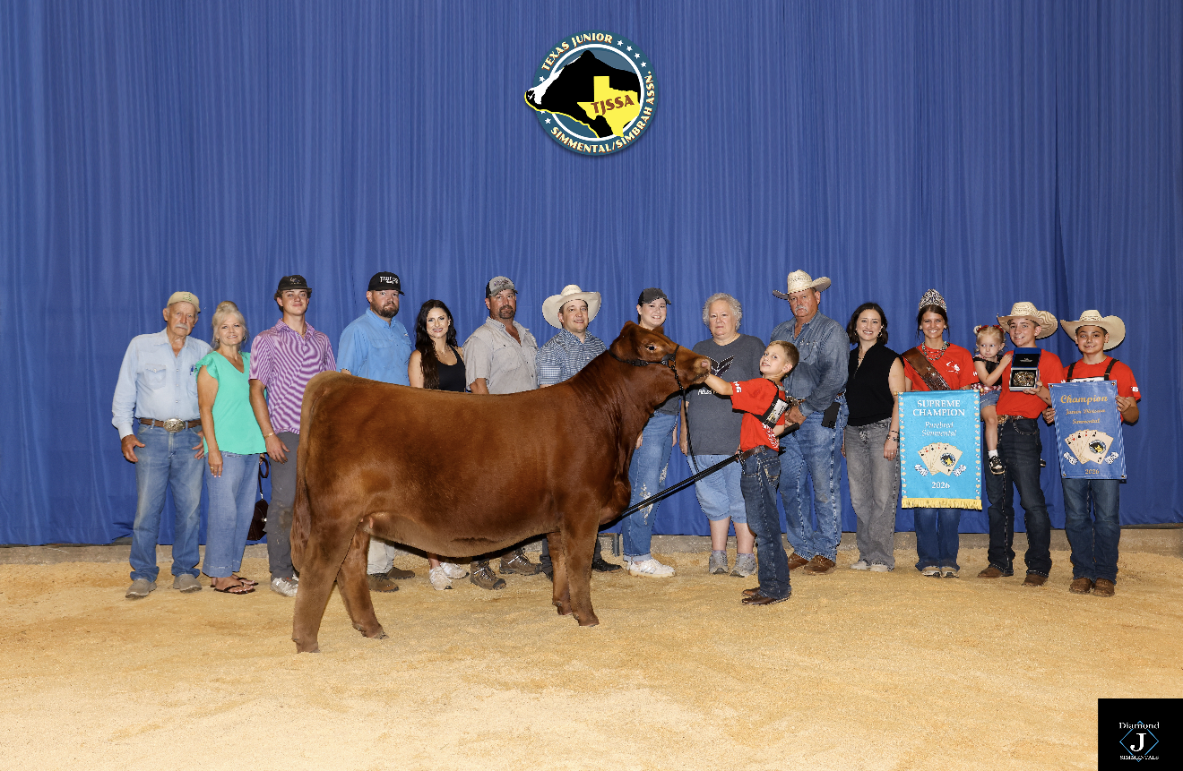 Supreme Champion Female Texas State Simmental Show 

SAM x Delilah 450

Congrats, Fields Family!