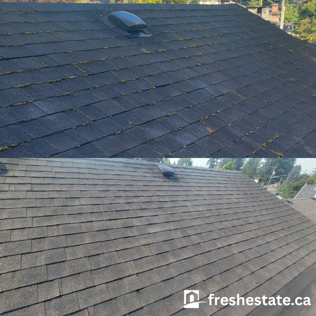 Roof Clean 4.png