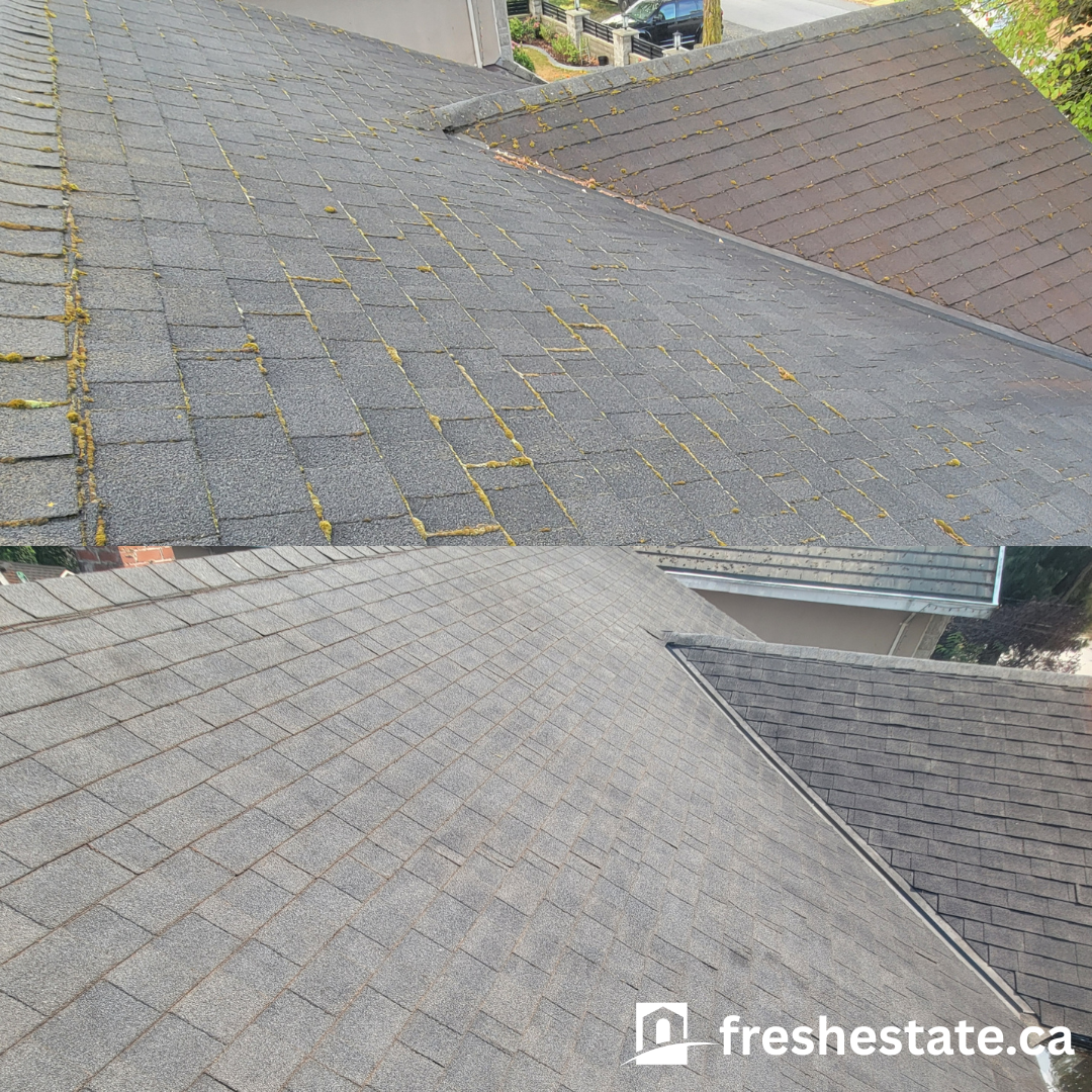 Roof Clean 2.png