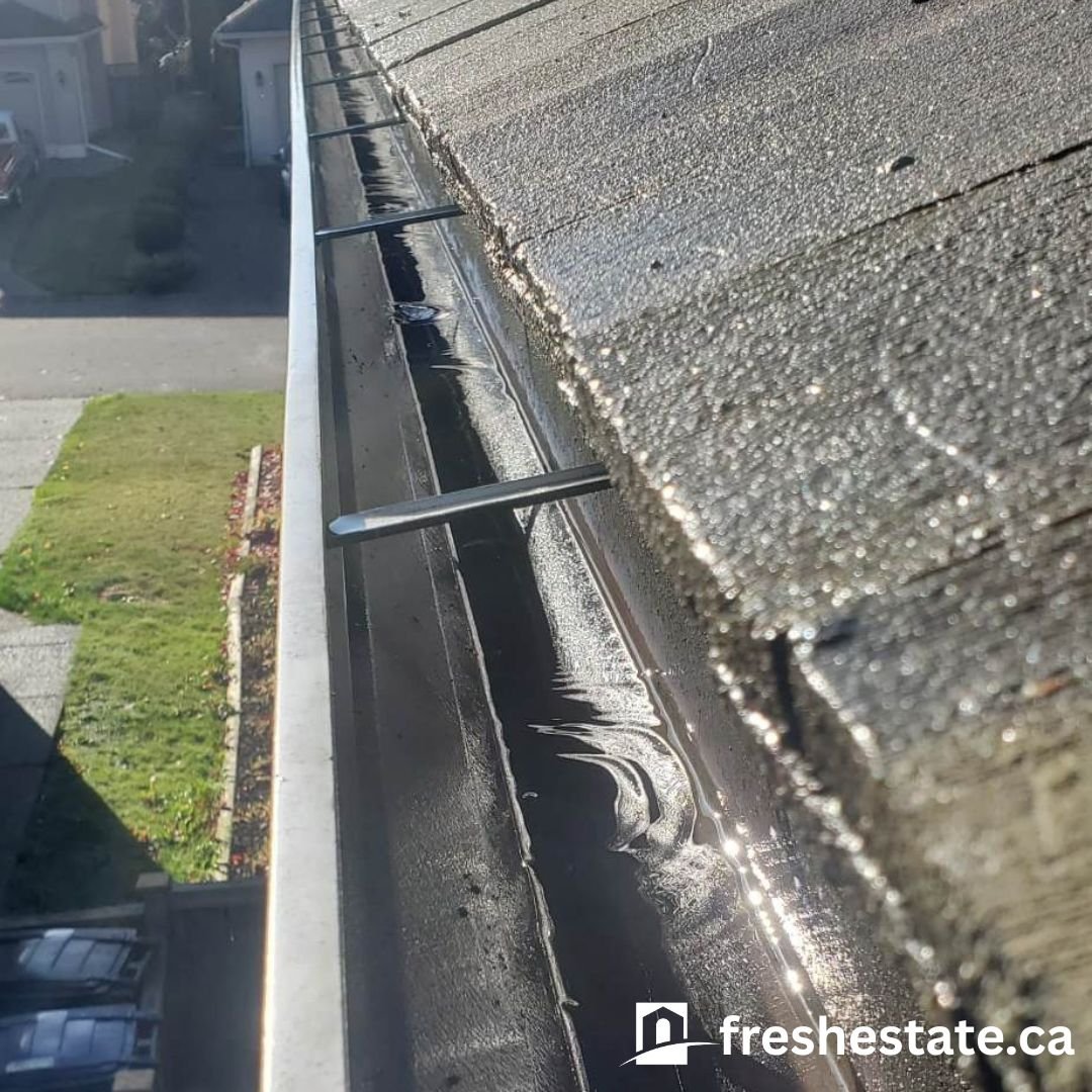 Gutter Clean.jpg