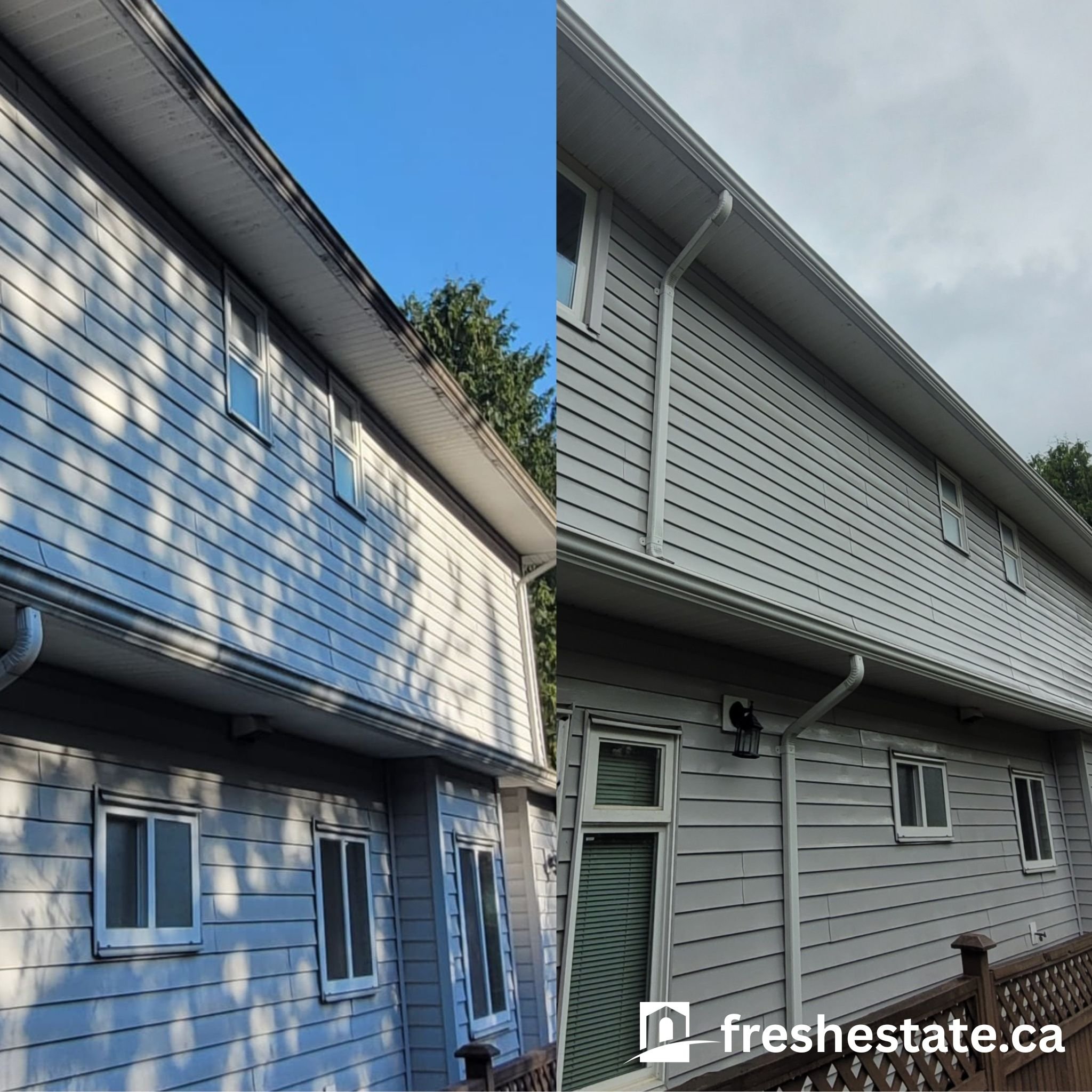 Copy of Copy of Copy of Copy of Copy of freshestate.ca.jpg