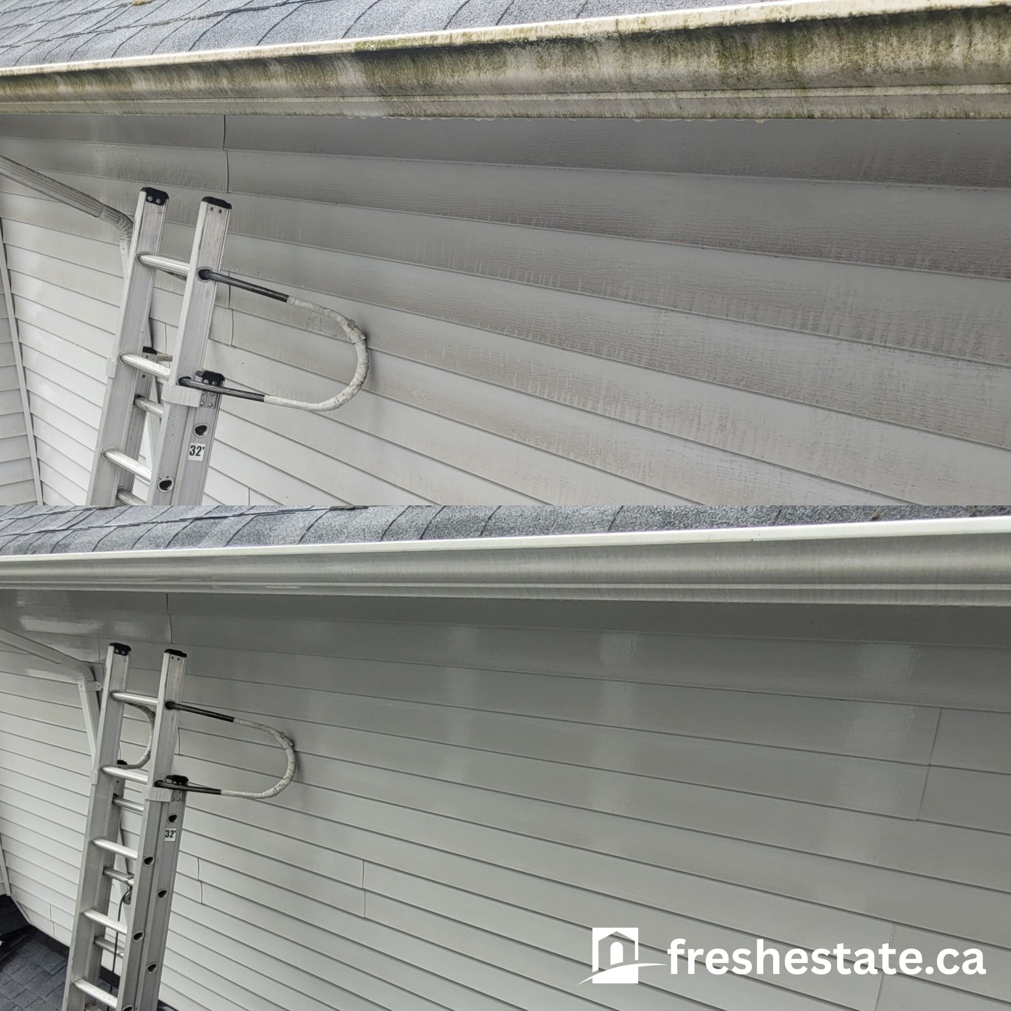 Copy of freshestate.ca.jpg