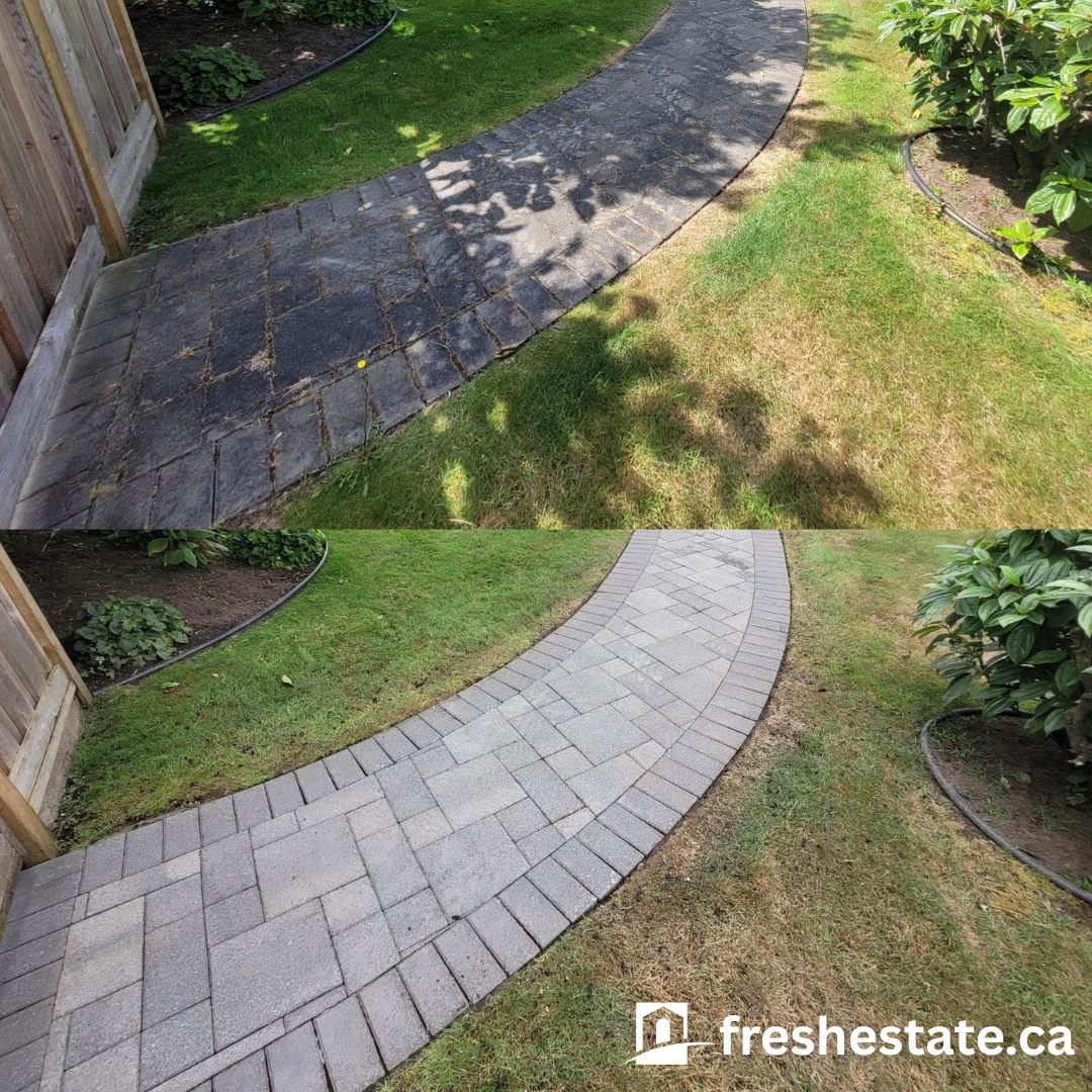 pavers2.png
