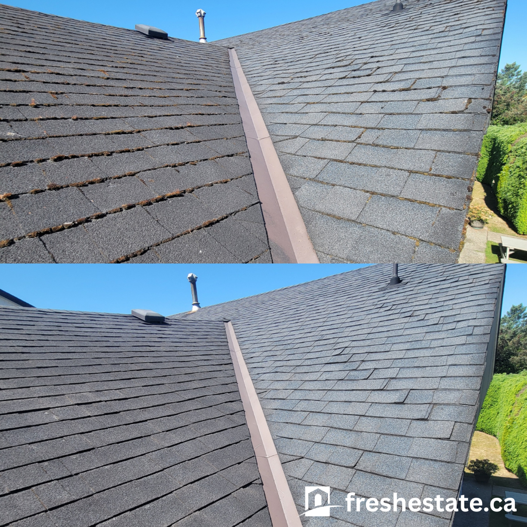 roof3.png