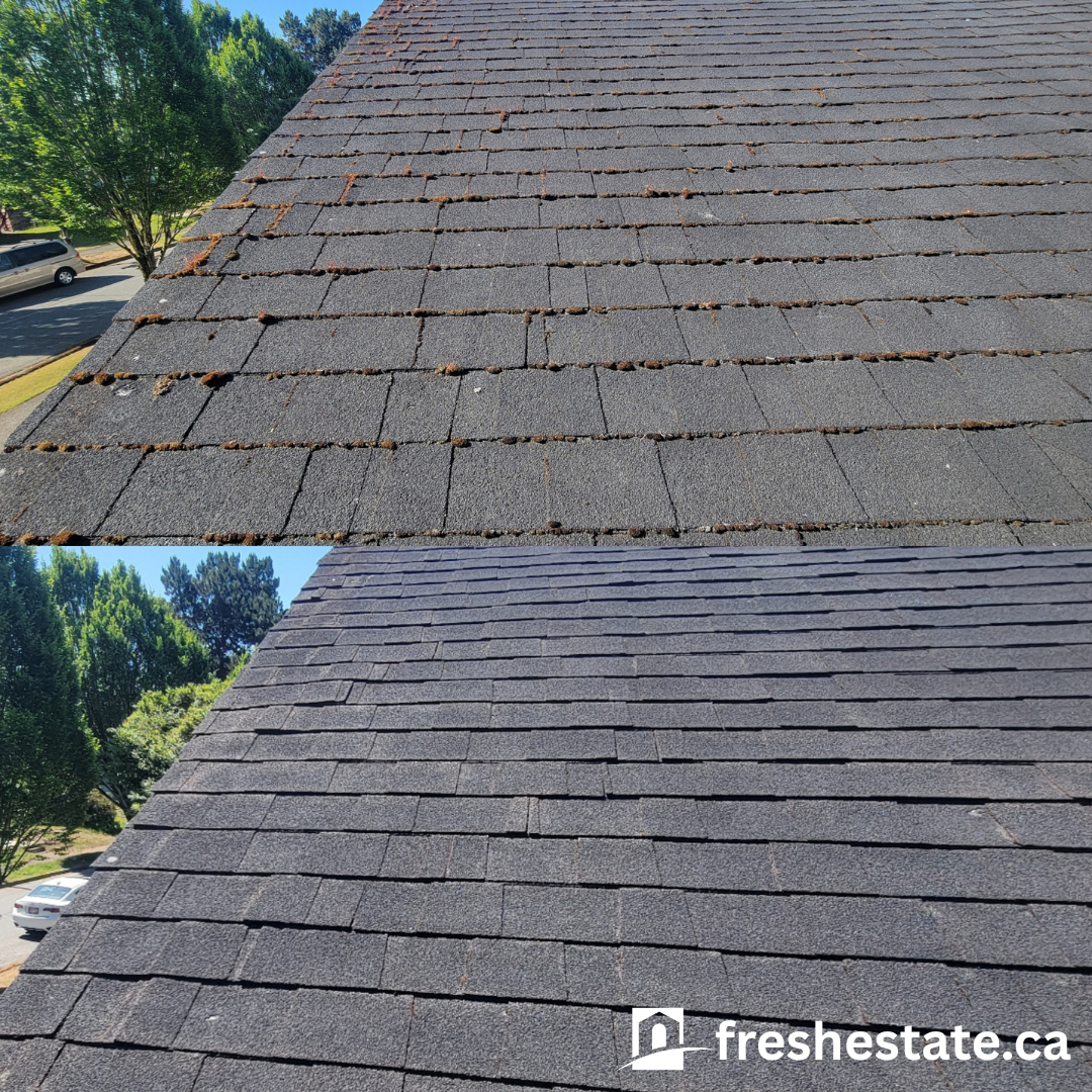 roof2.png