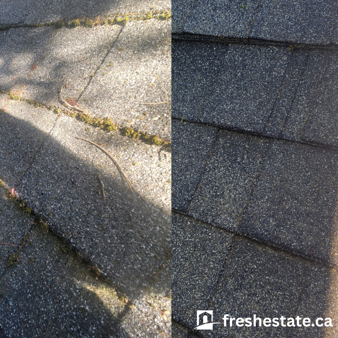 shingles.png