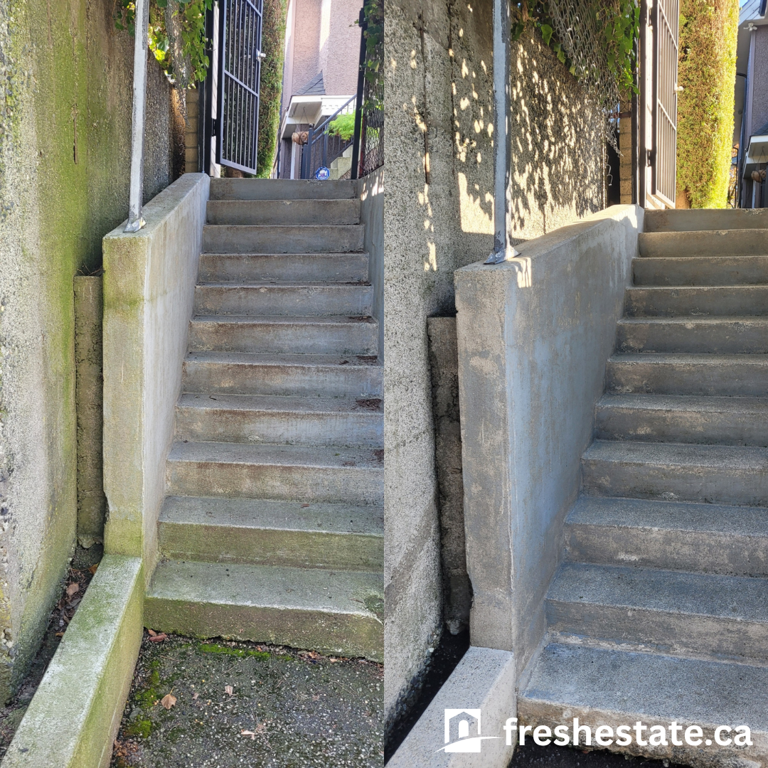 back steps 2.png