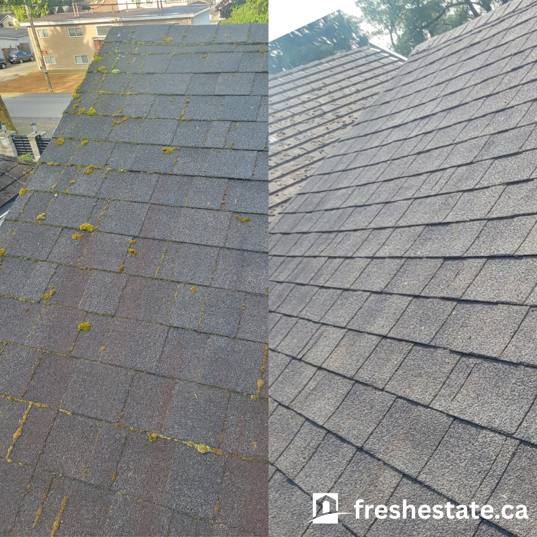 Roof Clean 3.png