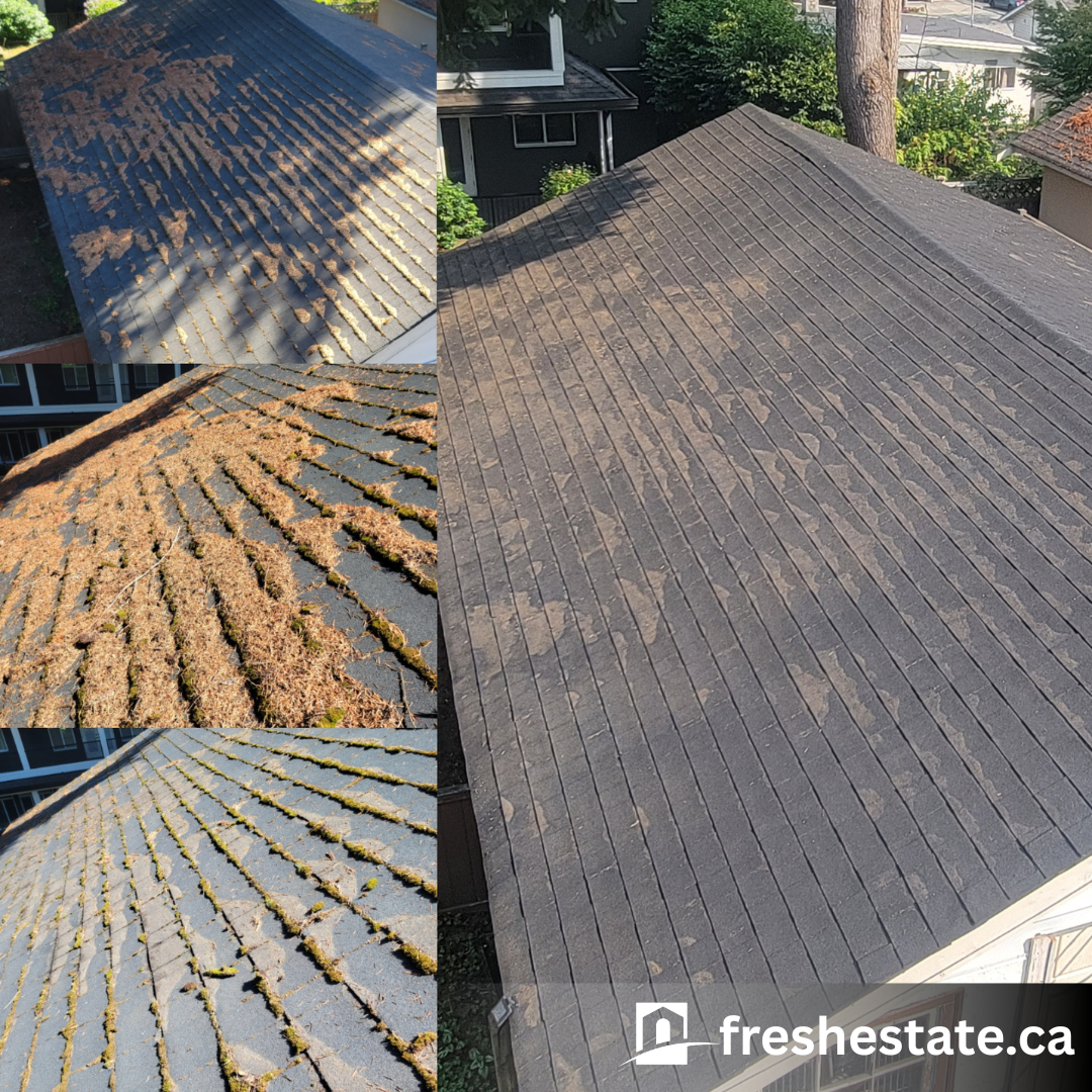 Garage Roof Clean.png