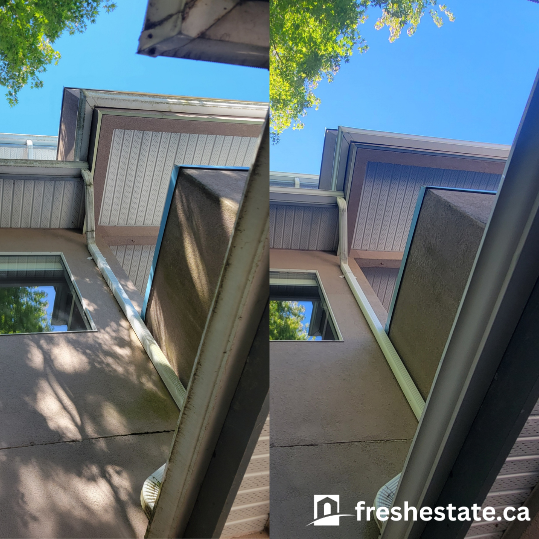 Gutter shine.png