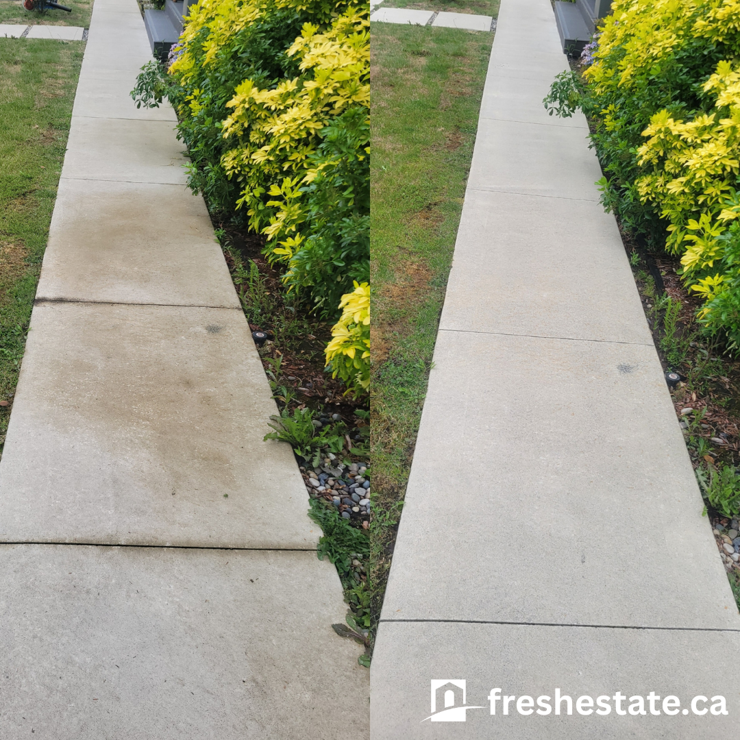 sidewalk2.png