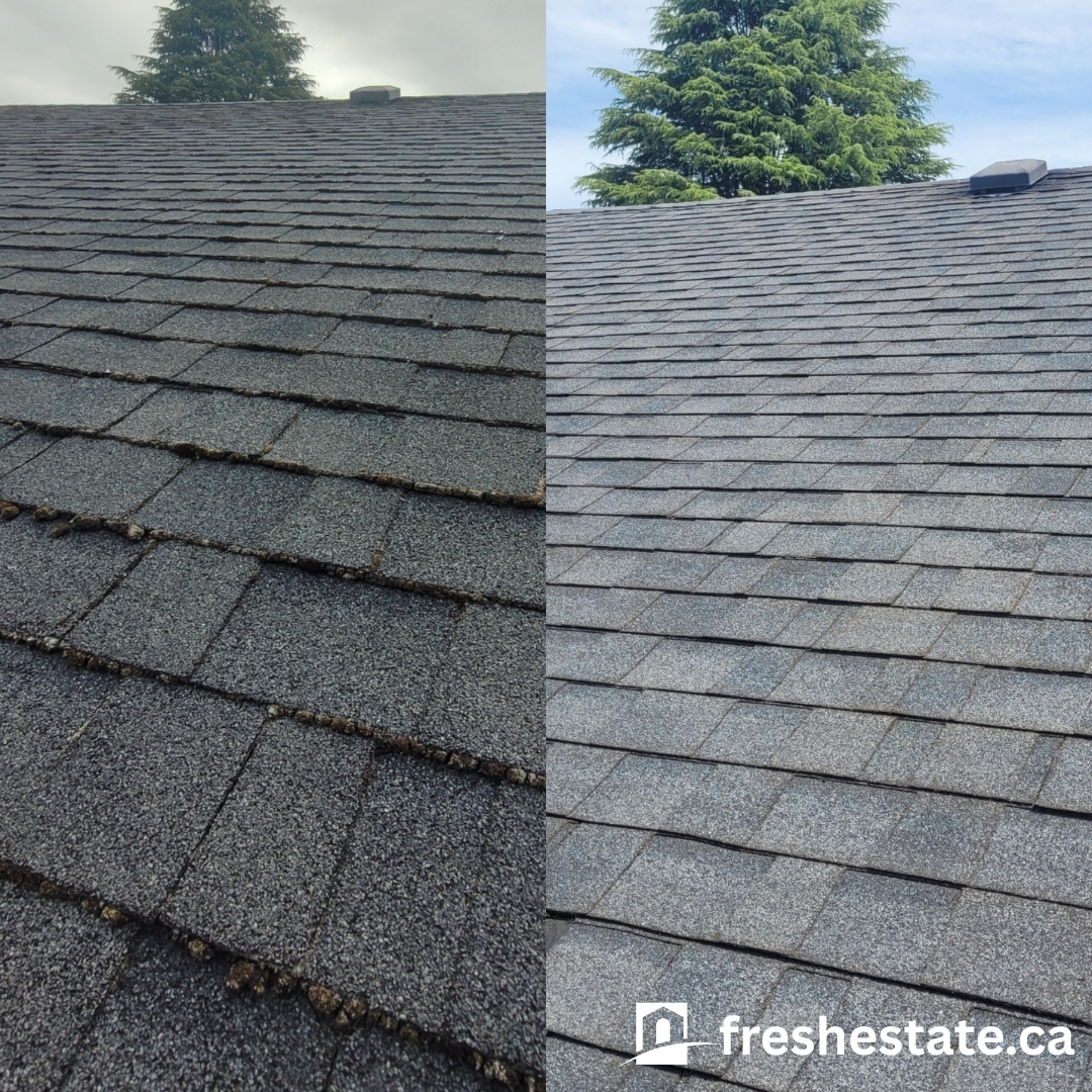 roof.png