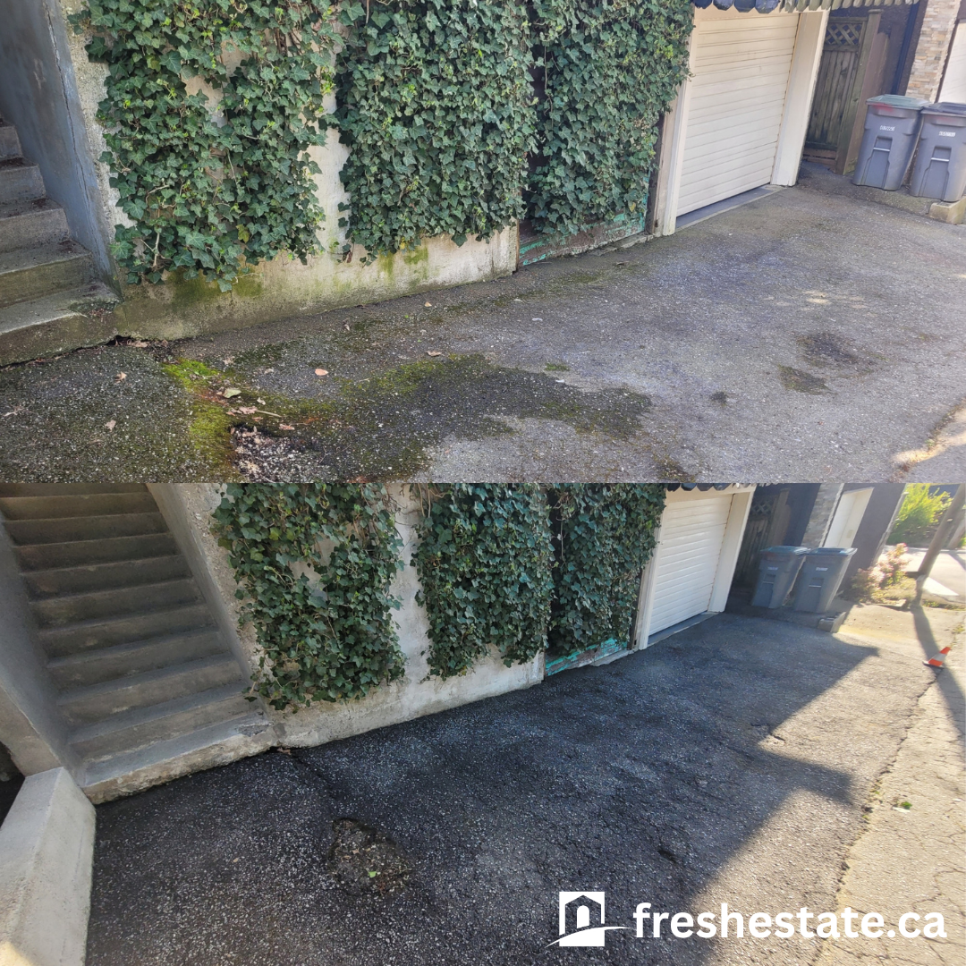 back steps.png