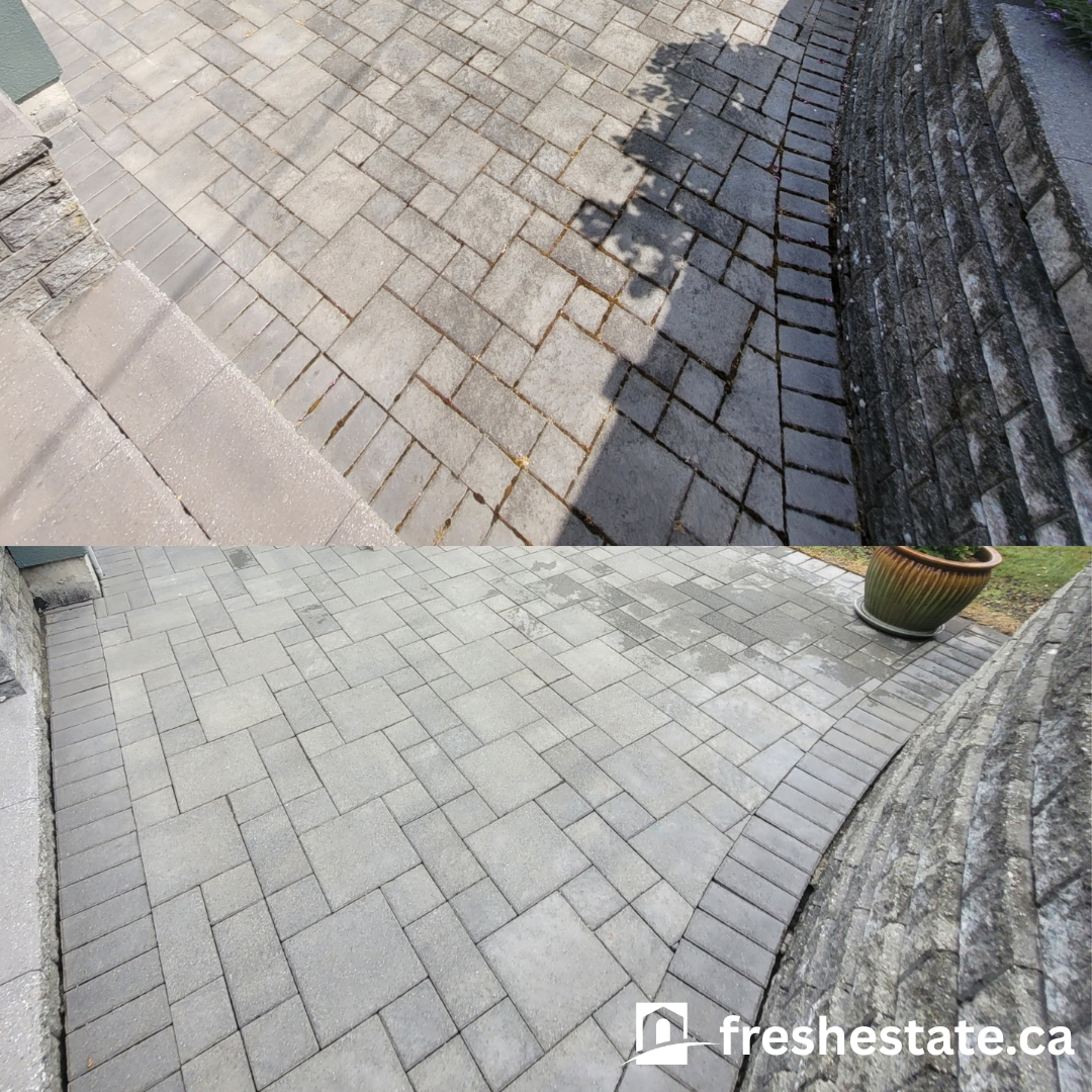 pavers3.png
