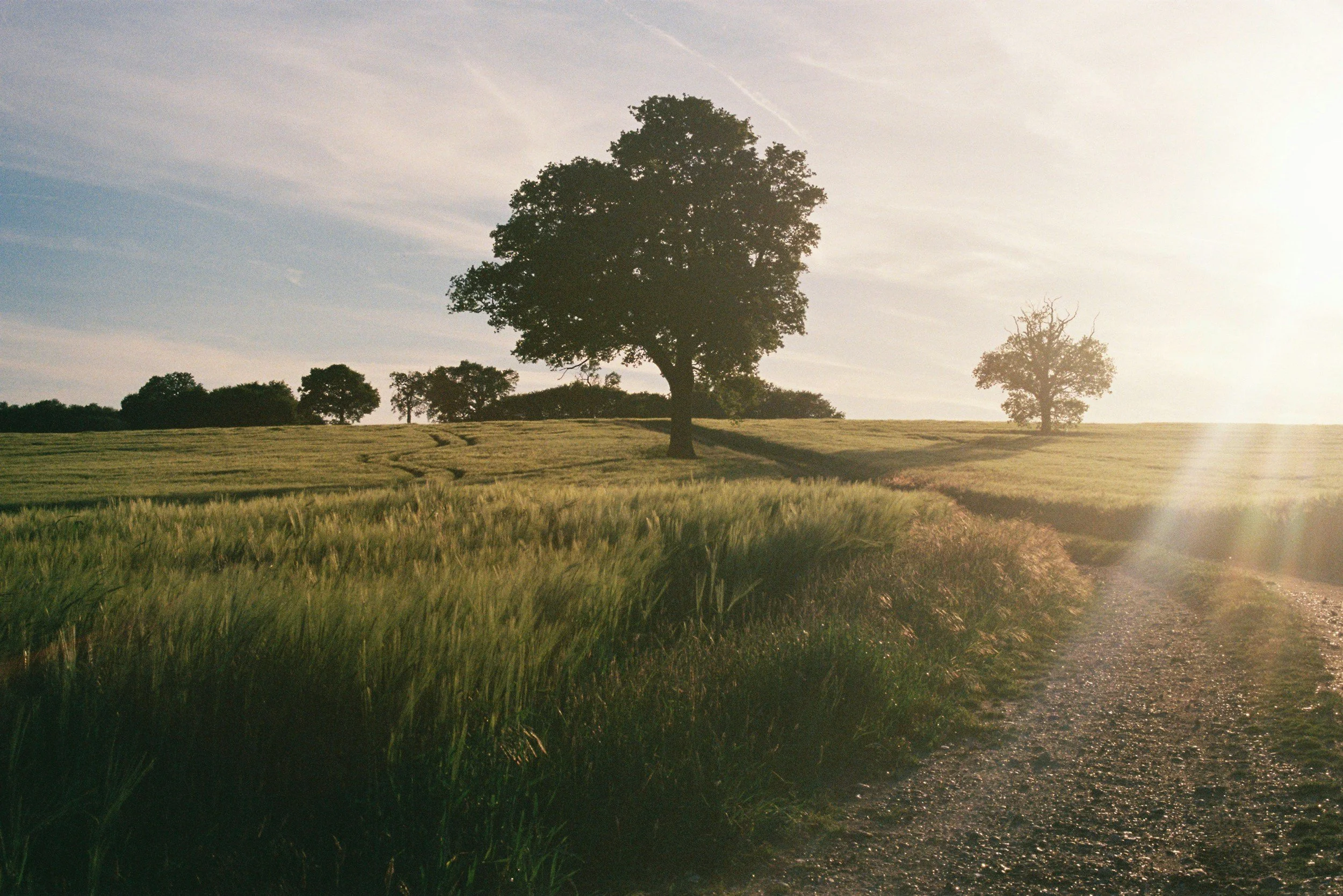 The Little Things We Forget to Appreciate in a British Summer
